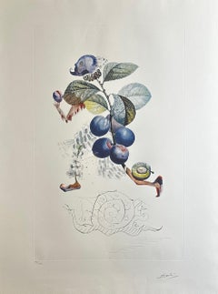 FlorDali/Les Fruits Plum