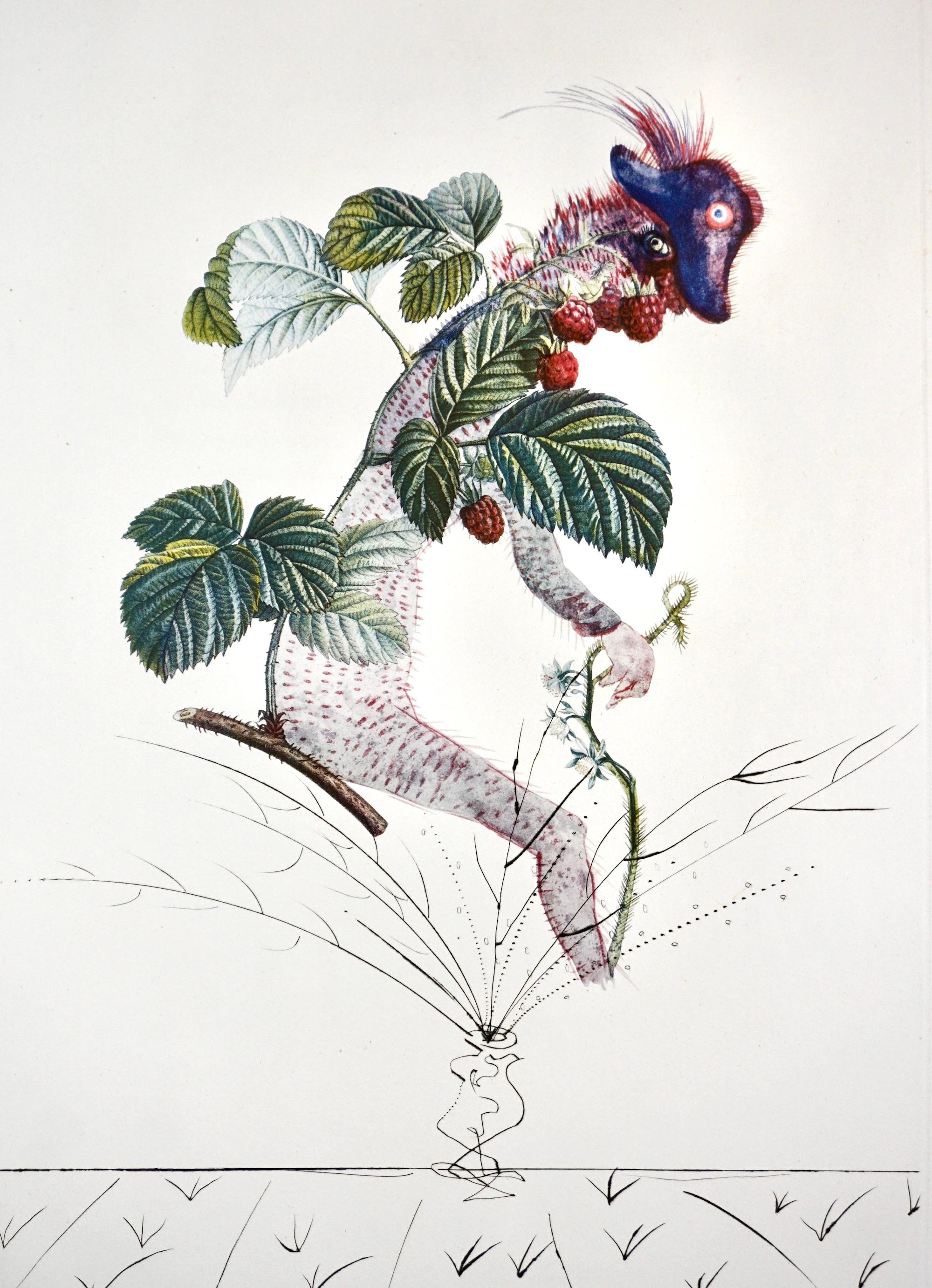 FlorDali/Les Fruits Raspberry  - Print by Salvador Dalí