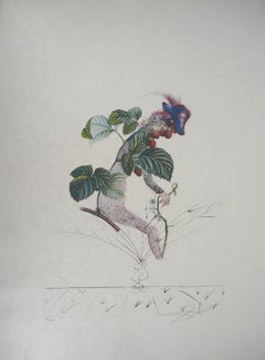 Flordali : Raspberry (The Fruits) - Original Handsigned Etching (Field 69-11K)