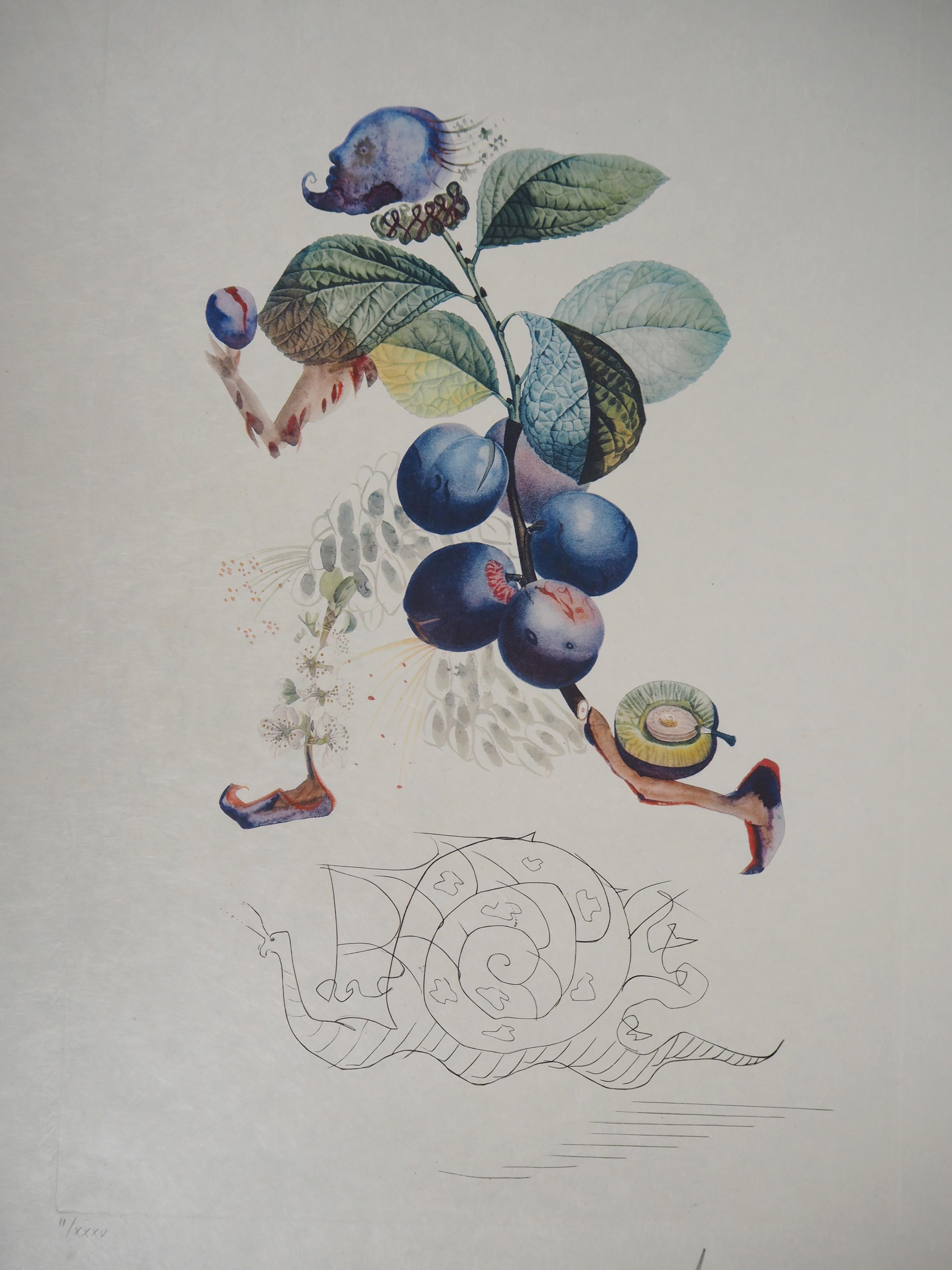 Flordali : Running Plum and Snail - Original Handsigned Etching (Field 69-11C) - Print by Salvador Dalí