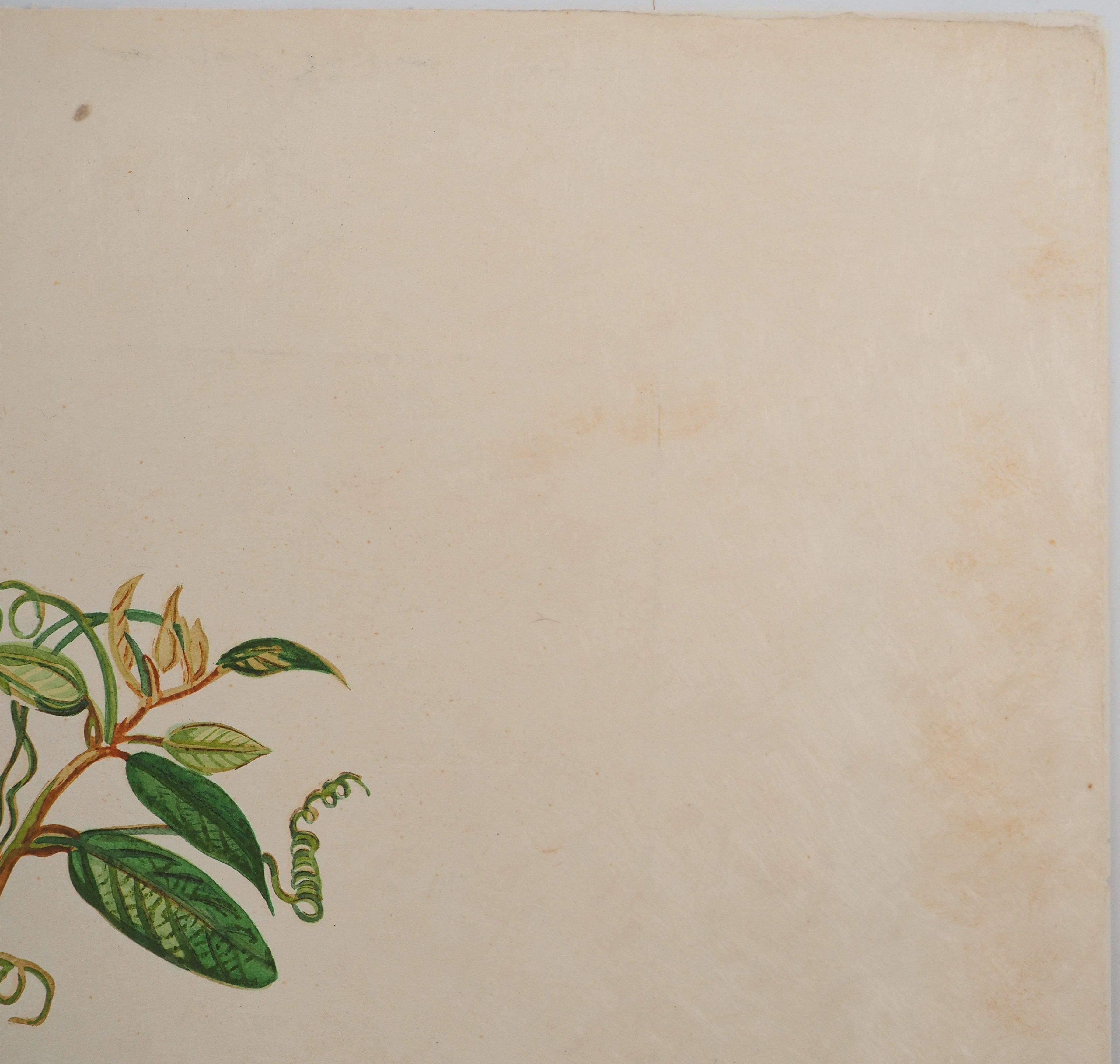 Flordali : Albero surreale, dita e labbra - Acquaforte originale firmata (Campo #68-3I) in vendita 4