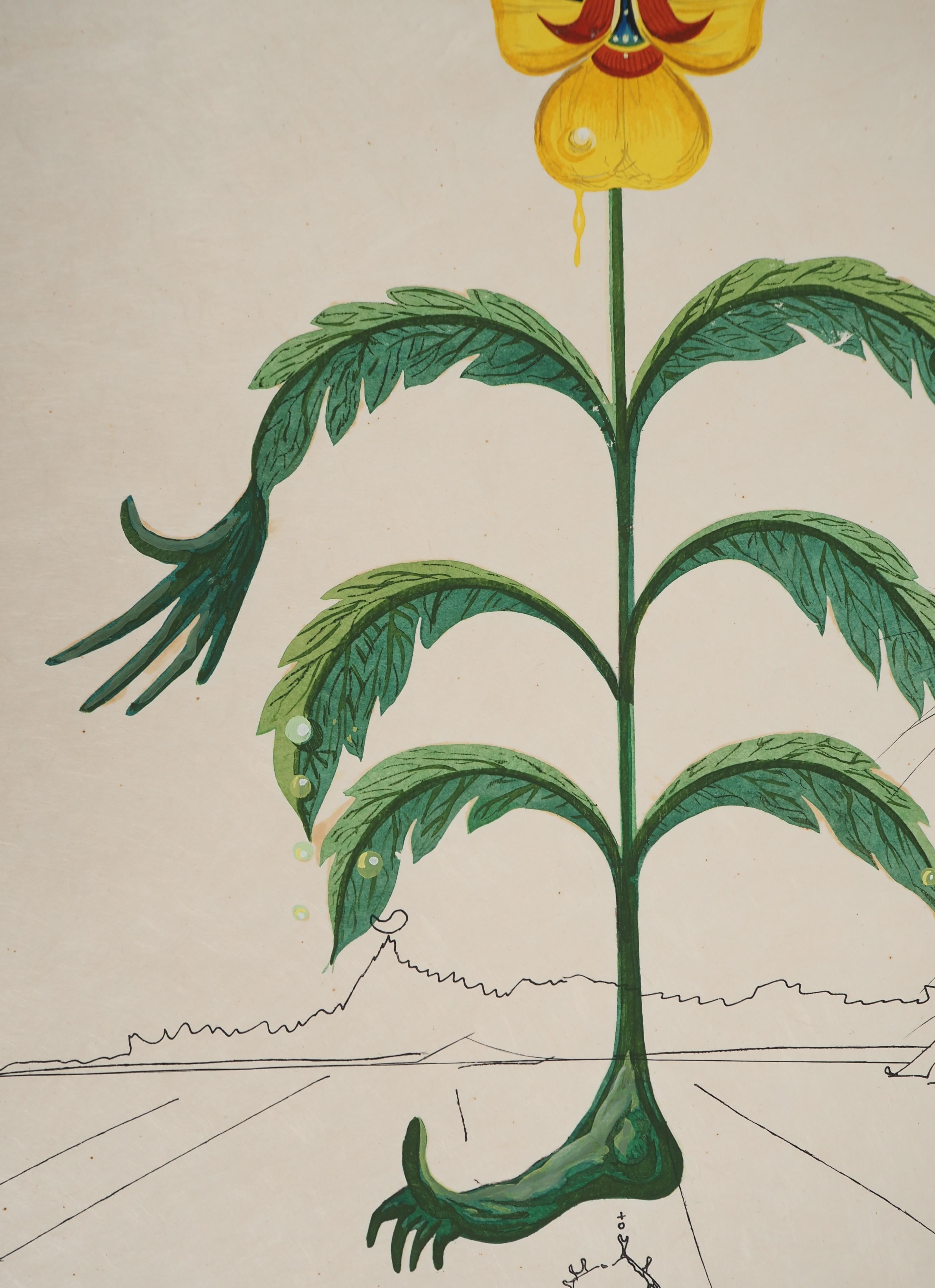 Salvador DALI
Flordali : Autorretrato surrealista, 1969

Litografía y aguafuerte originales
Firmado en la plancha y firmado a lápiz 
Numerado /175 ejemplares
Sobre papel Japón 77 x 57 cm (c. 31 x 22,4 pulgadas)

REFERENCIAS : 
- Catálogo razonado
