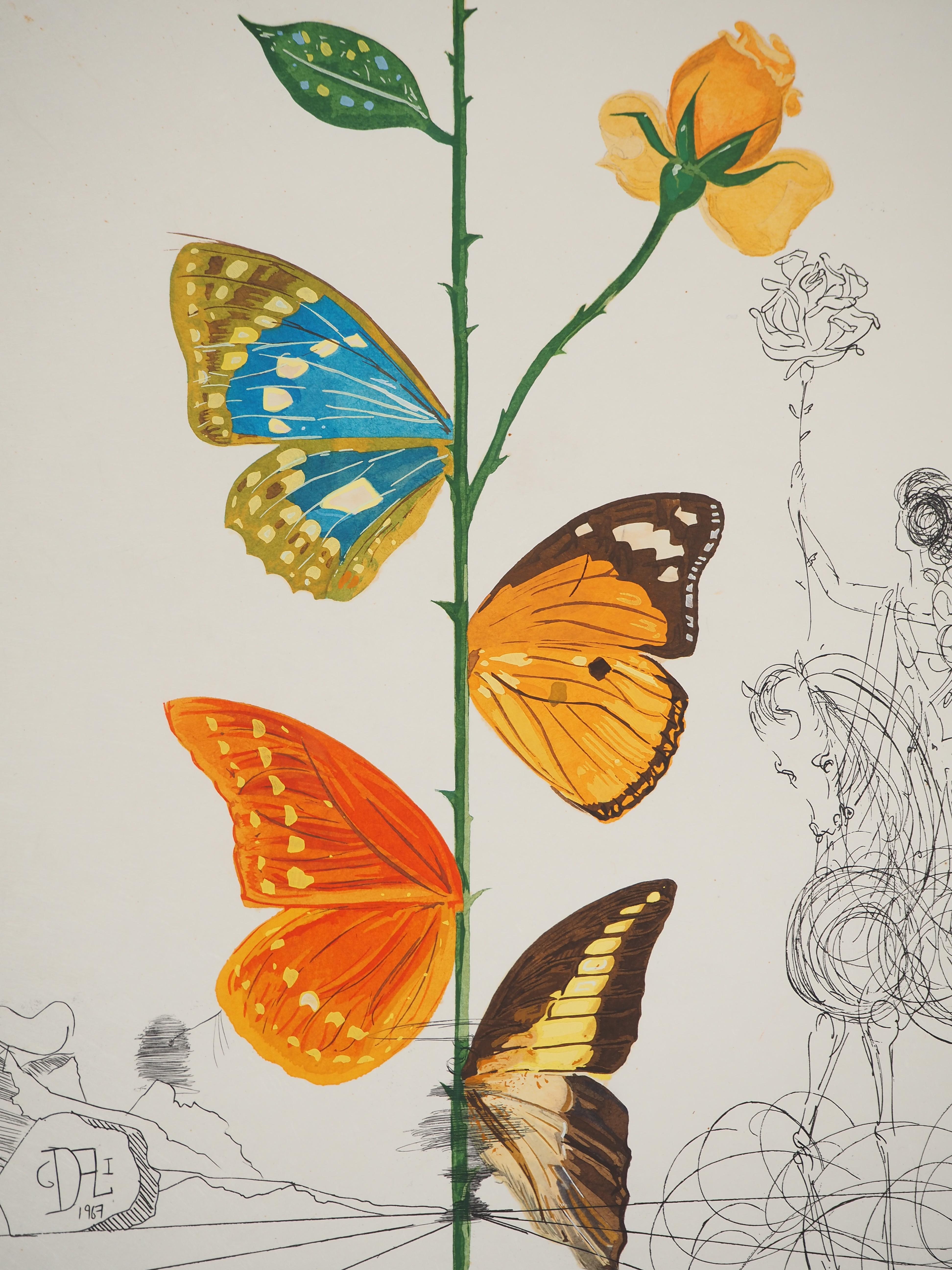 Salvador DALI
Flordali : The Rose With Butterflies, 1969

Original Lithograph and Etching
Handsigned in pencil 
Numbered /175 copies
On Japan paper 77 x 57 cm (c. 31 x 22.4 inch)

REFERENCES : 
- Catalog raisonne Field #68-3 A
- Catalog raisonne