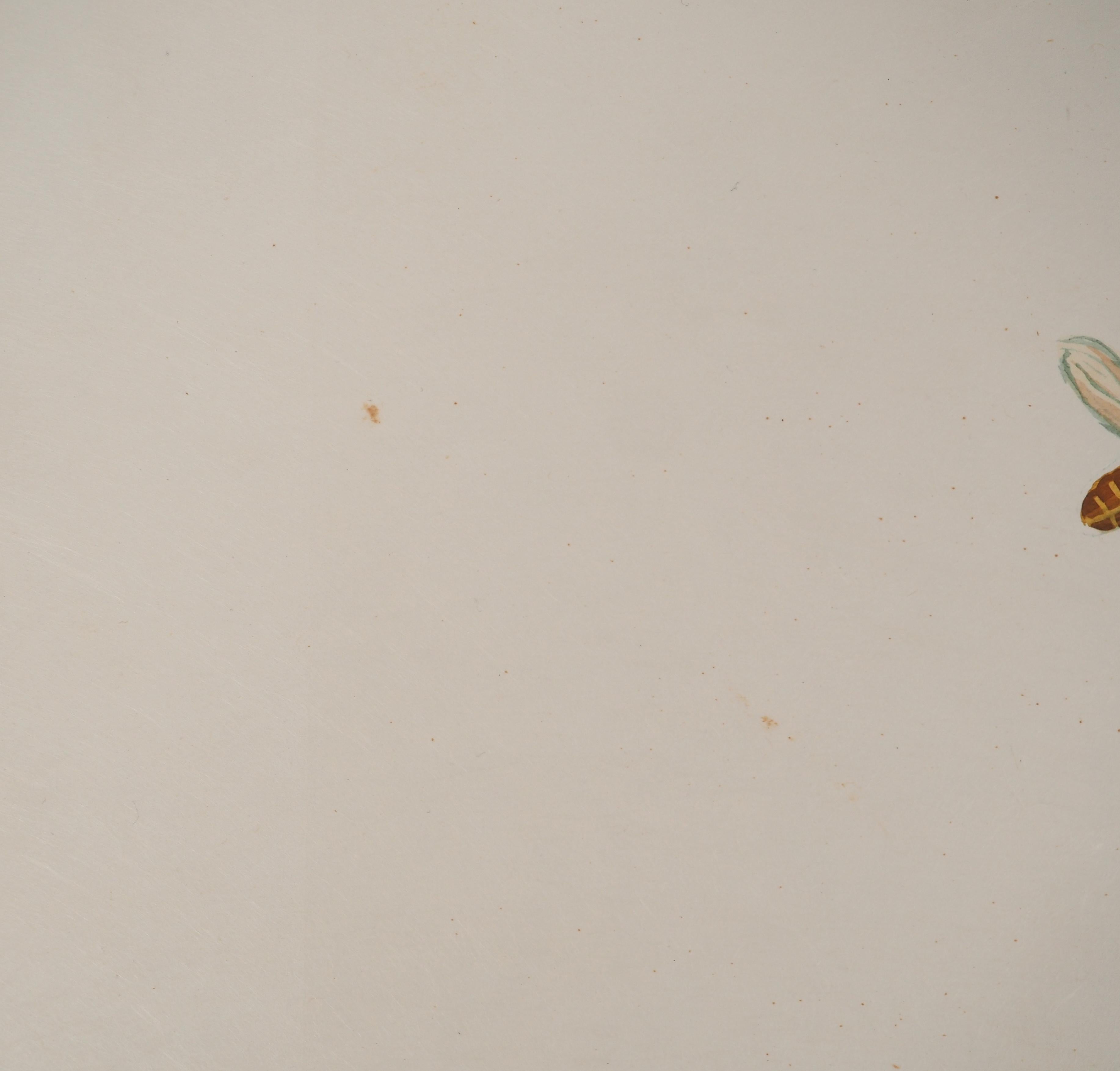 Flordali : The Rose With Butterflies - Original Handsigned Etching 4