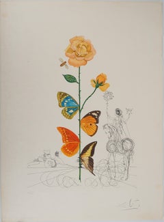 Flordali : The Rose With Butterflies - Original Handsigned Etching