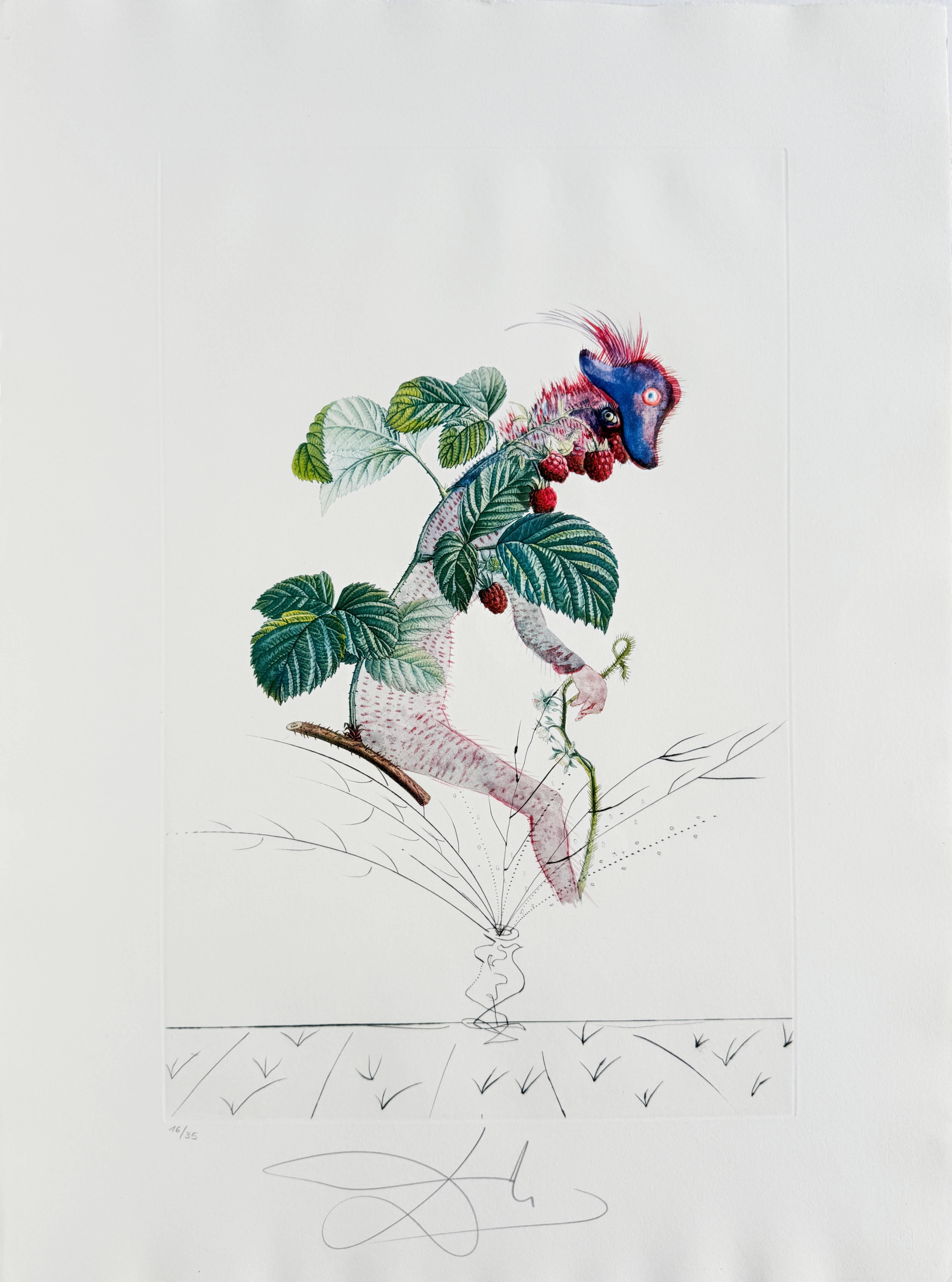 Framboisier Lithograph with Drypoint Etching, Signed, 1969