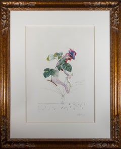 "Framboisier (Raspberry Bush)" original color lithograph and etching by Dalí­