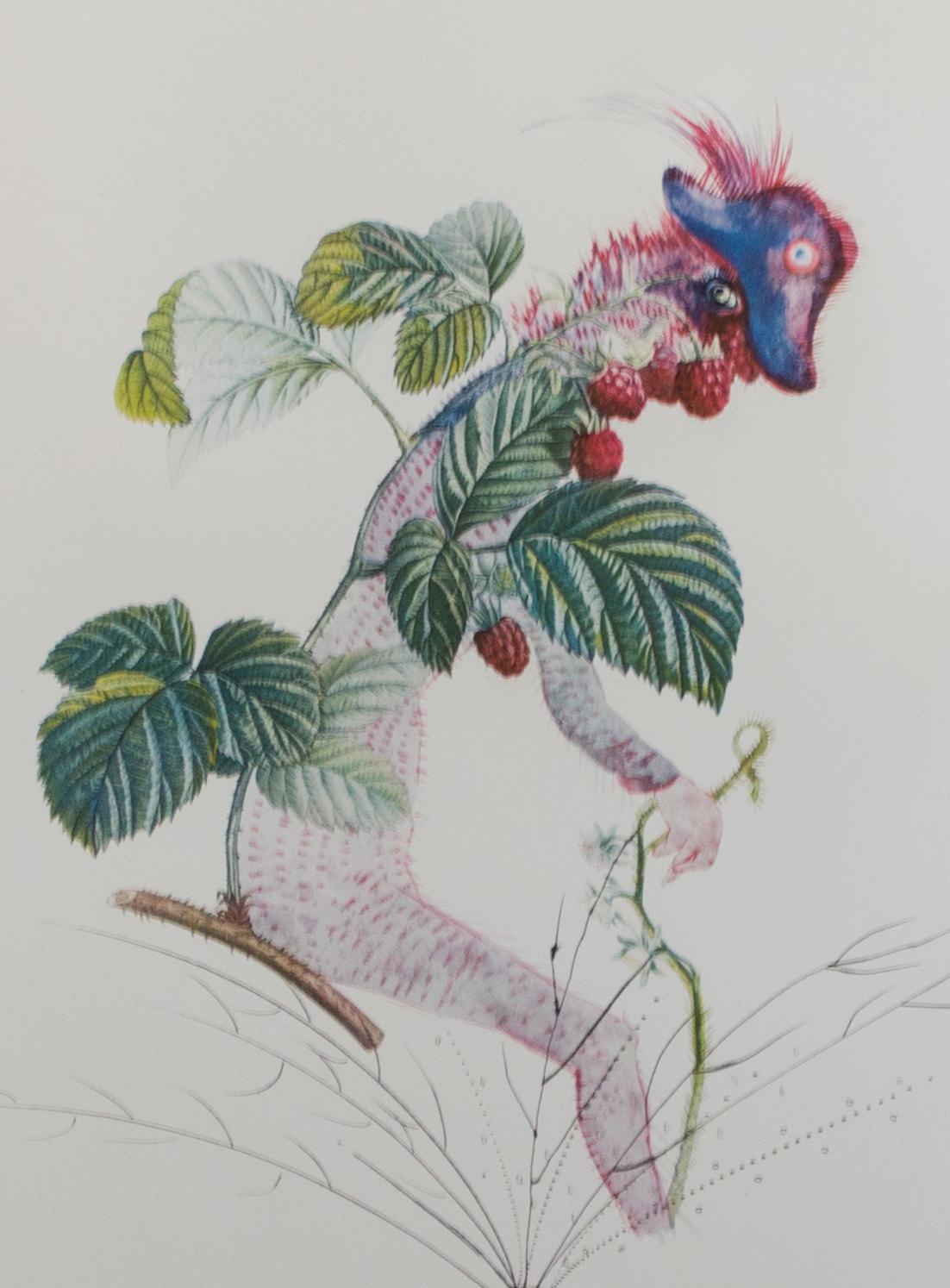 Das vorliegende Kunstwerk ist eine signierte Original-Farblithographie und Kaltnadelradierung von Salvador Dali und ein beispielhaftes Werk der Art von Druckgrafik:: die Dali in den späten 1960er Jahren anwandte. „Framboisier (Raspberry Bush)“