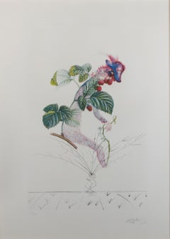 "Framboisier (Raspberry Bush)" original color lithograph and etching by Dalí­