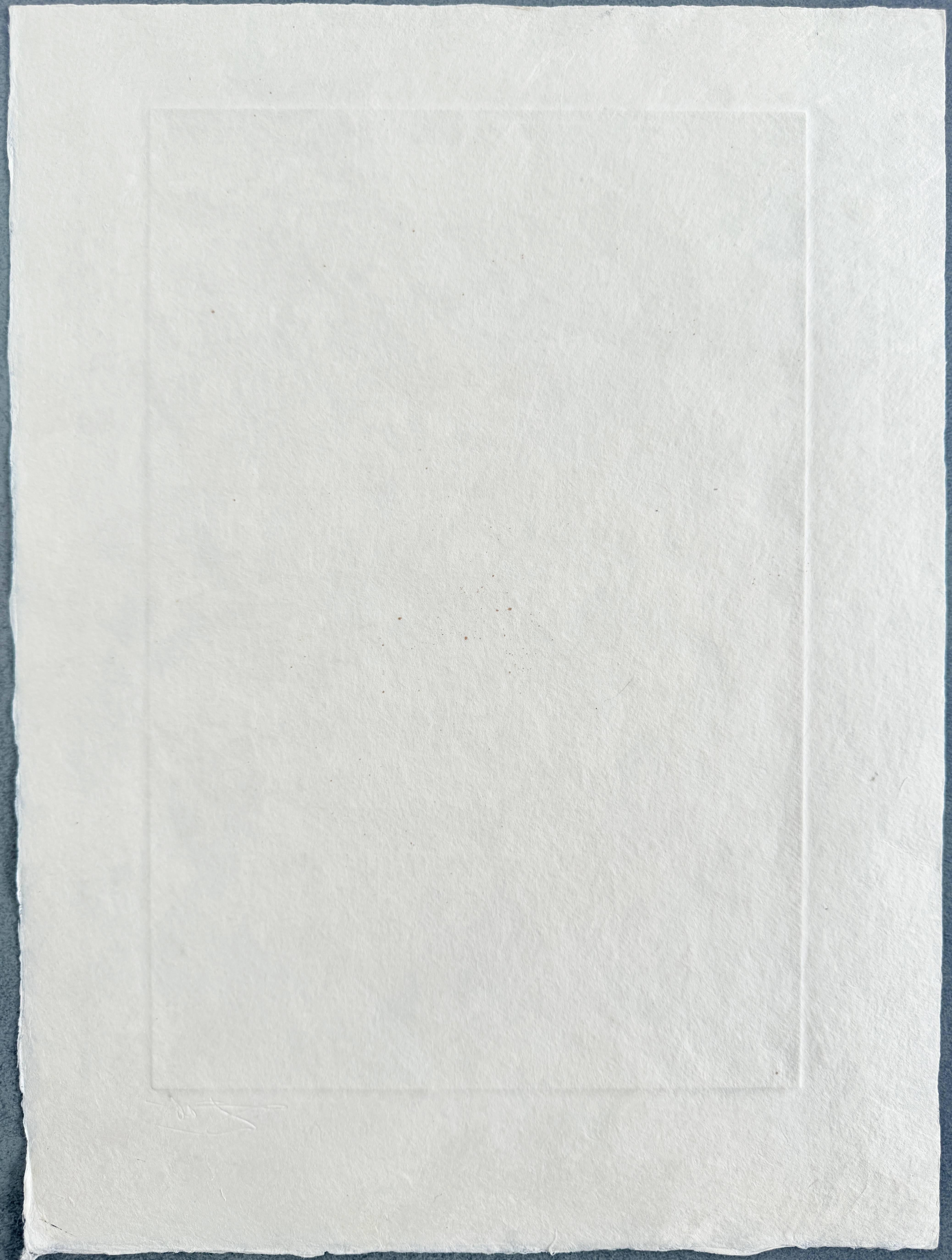 Frontispiece For Sale 3