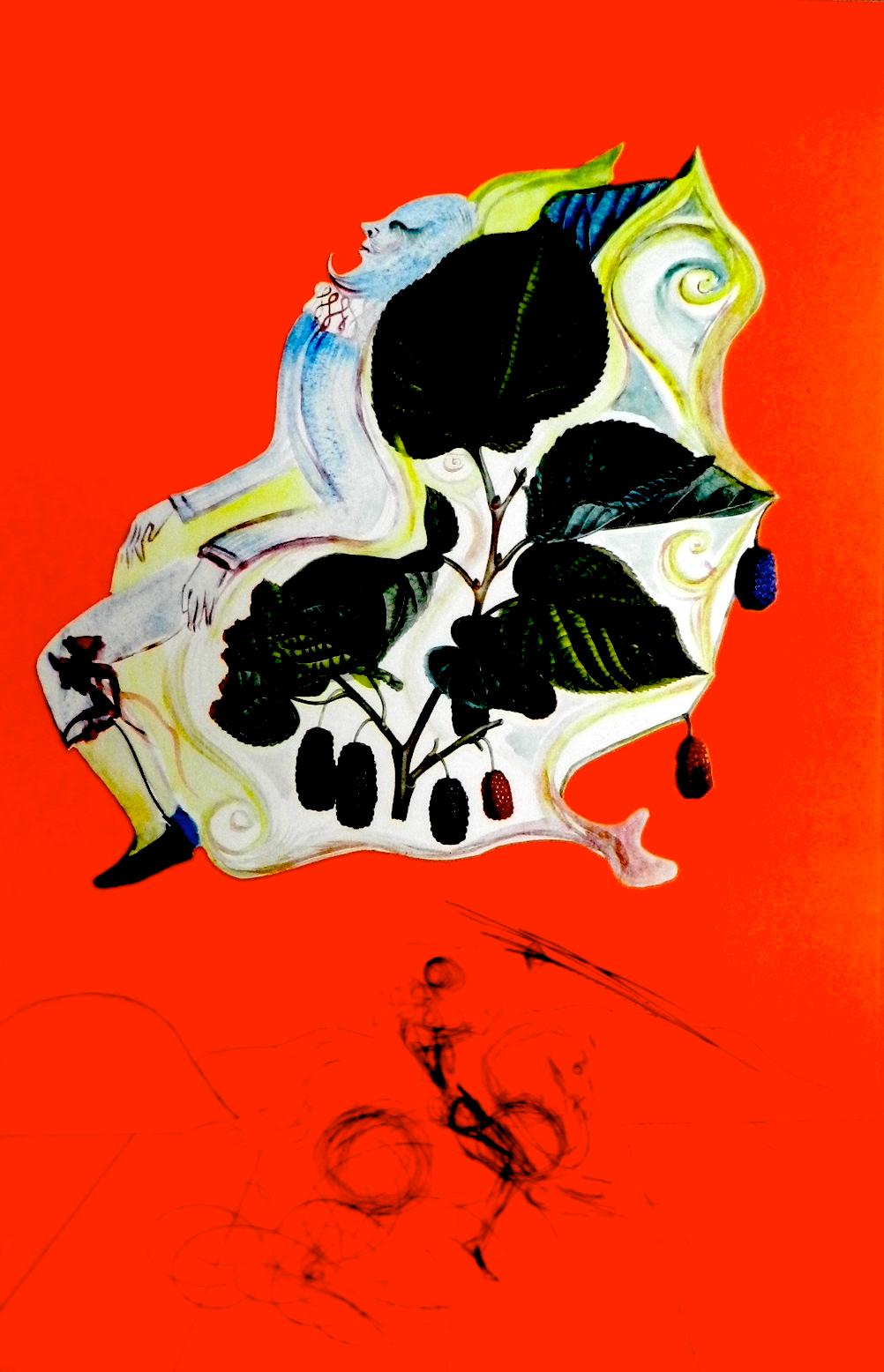 Früchte Brombeeren – Print von Salvador Dalí