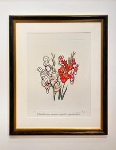 Gladiolus Cum Aurium Corymbo Expentantium (Pirate’s Gladioli)