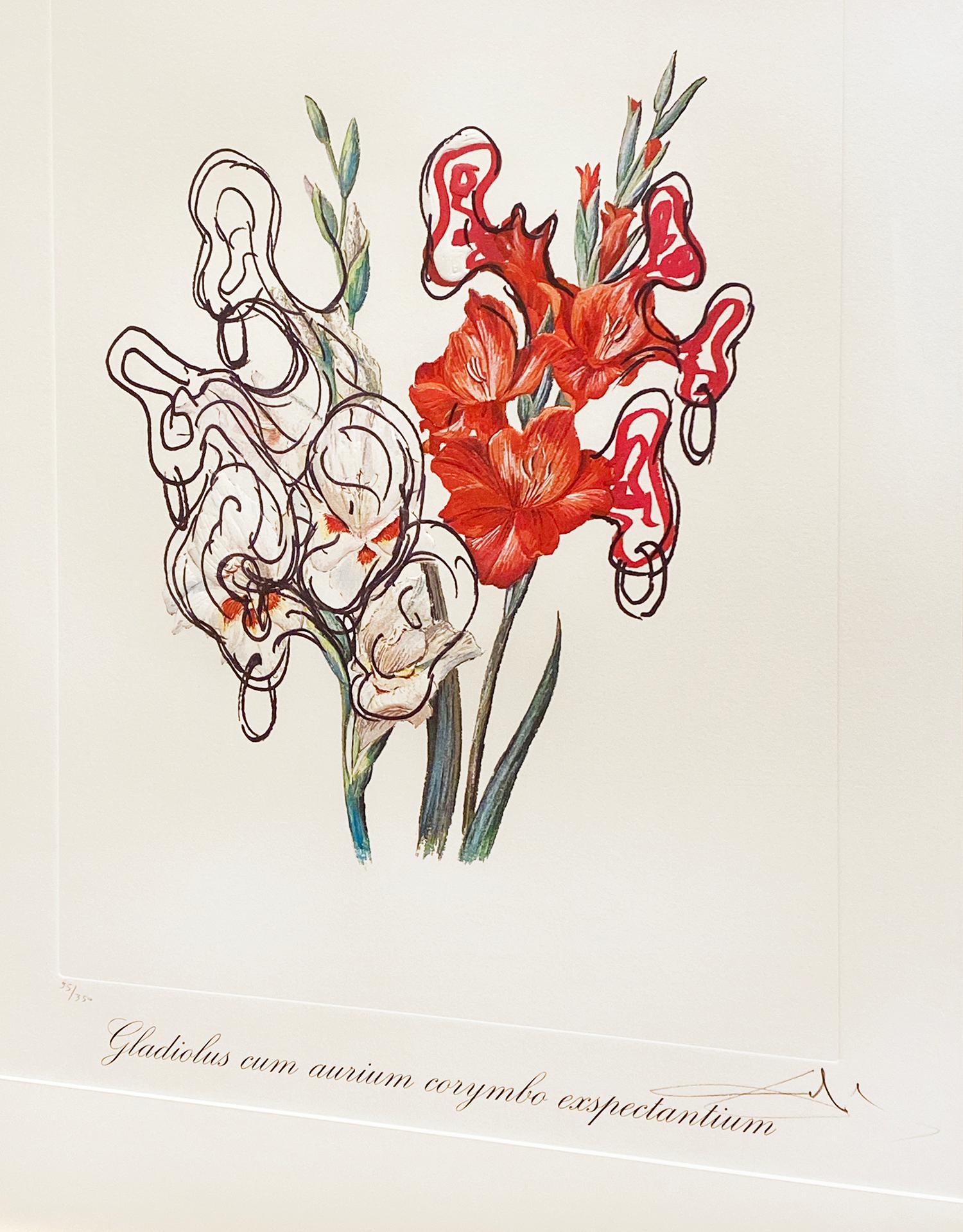 Artist:  Dali, Salvador
Title:  Gladiolus Cum Aurium Corymbo Expentantium (Pirate’s Gladioli)
Series:  Florals - Surrealist Flowers
Date:  1972
Medium:  Lithograph
Framed Dimensions:  37.75