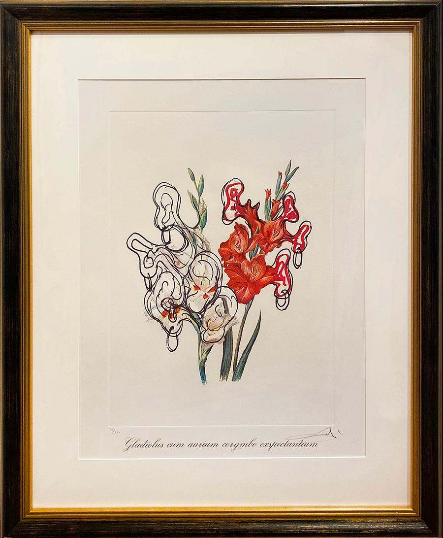 Gladiolus Cum Aurium Corymbo Expentantium (Pirate’s Gladioli) - Print by Salvador Dalí
