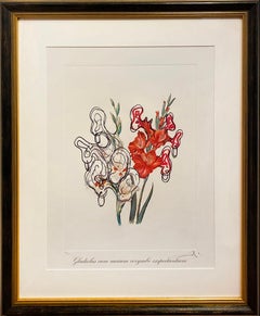 Gladiolus Cum Aurium Corymbo Expentantium (Pirate’s Gladioli)