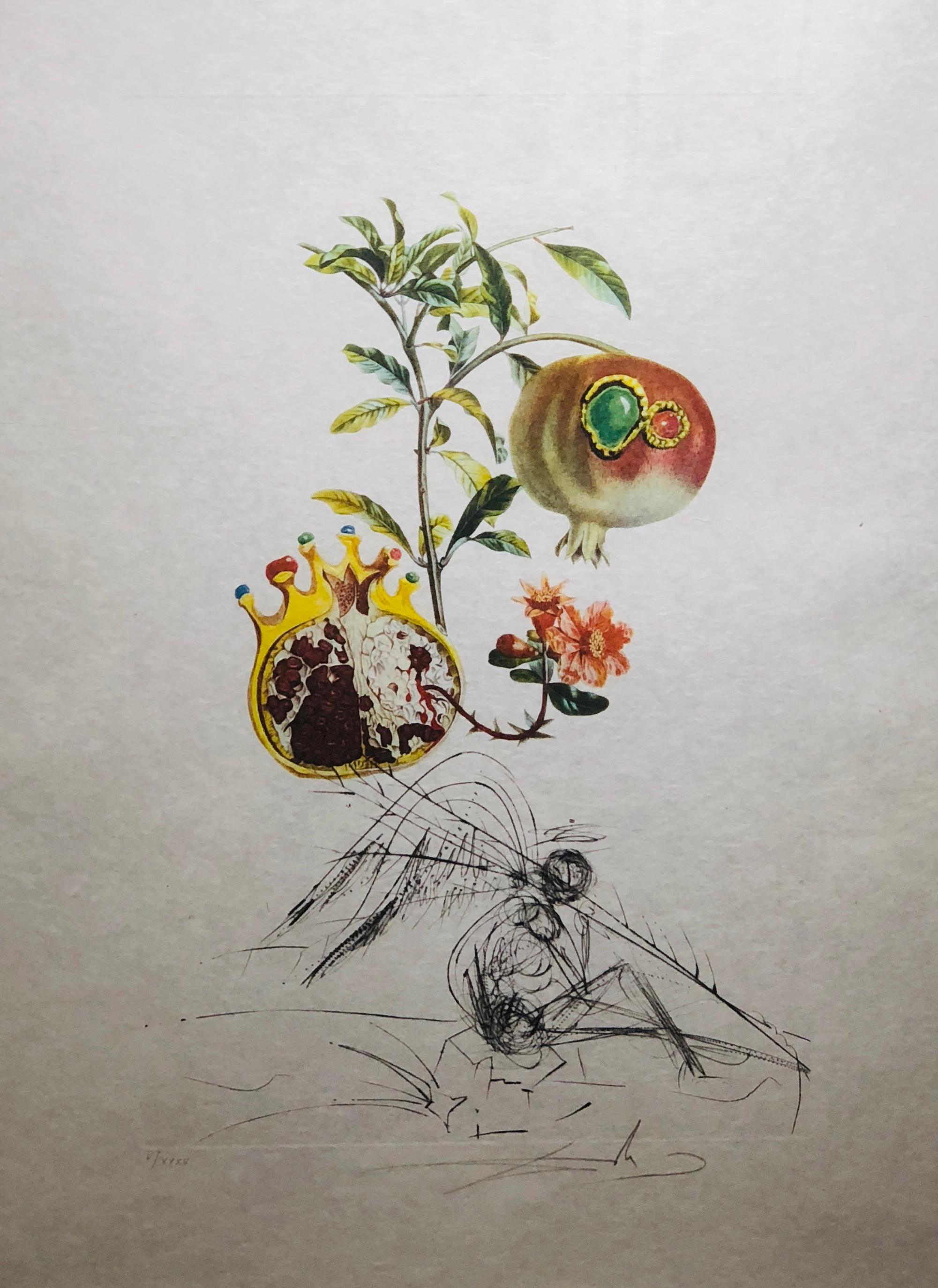 Salvador Dalí Print – Salvador Dali, „Grenade et l'ange from FlorDali – Les Fruits“