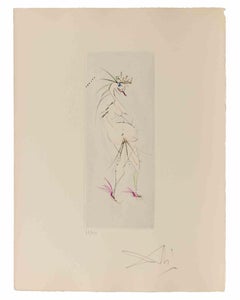 Grotesque  - Etching - 1960s