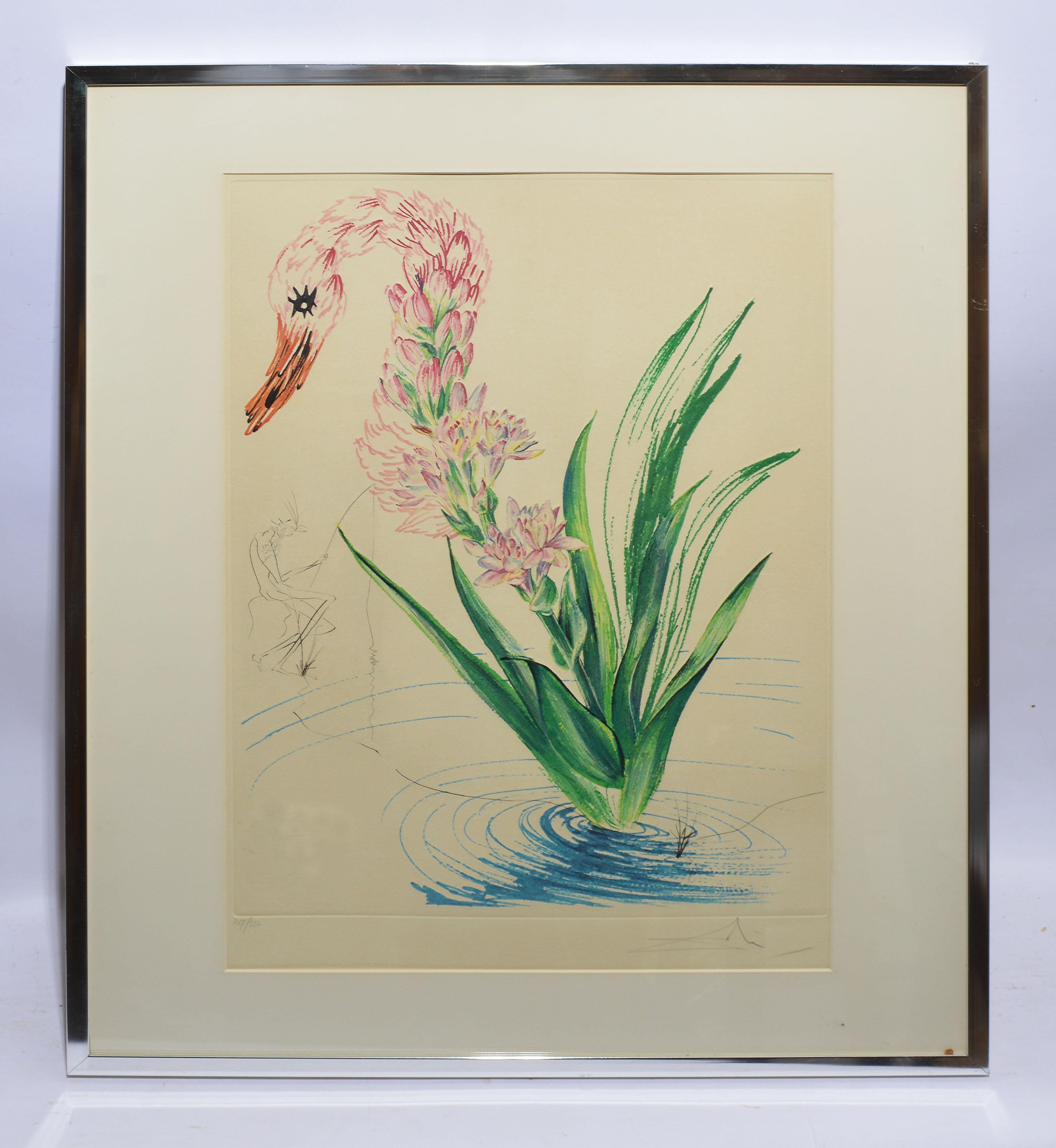 Radierung und Lithographie:: „Wasserhibiskusschwan“:: handsigniert und nummeriert – Print von Salvador Dalí