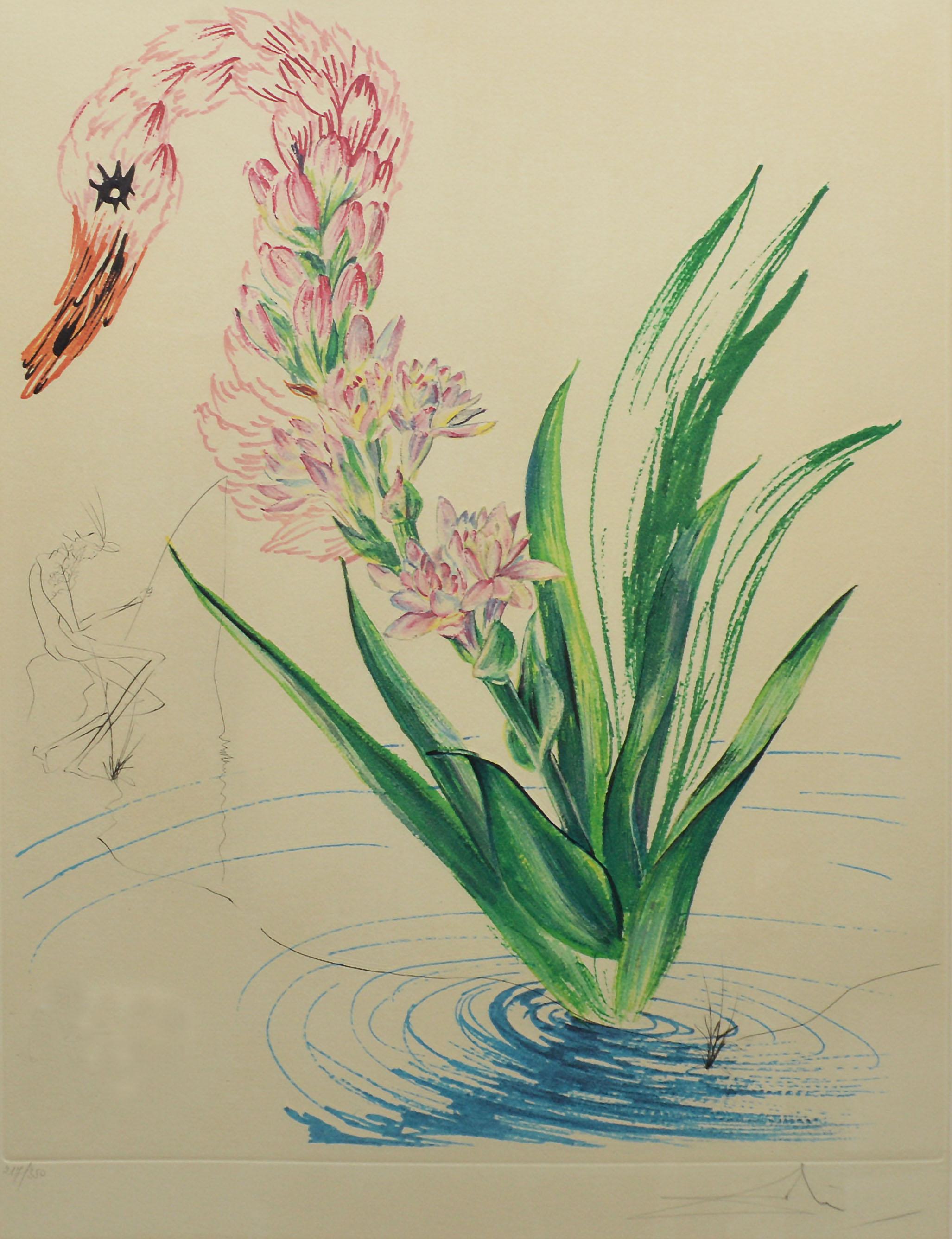 Radierung und Lithographie:: „Wasserhibiskusschwan“:: handsigniert und nummeriert (Surrealismus), Print, von Salvador Dalí