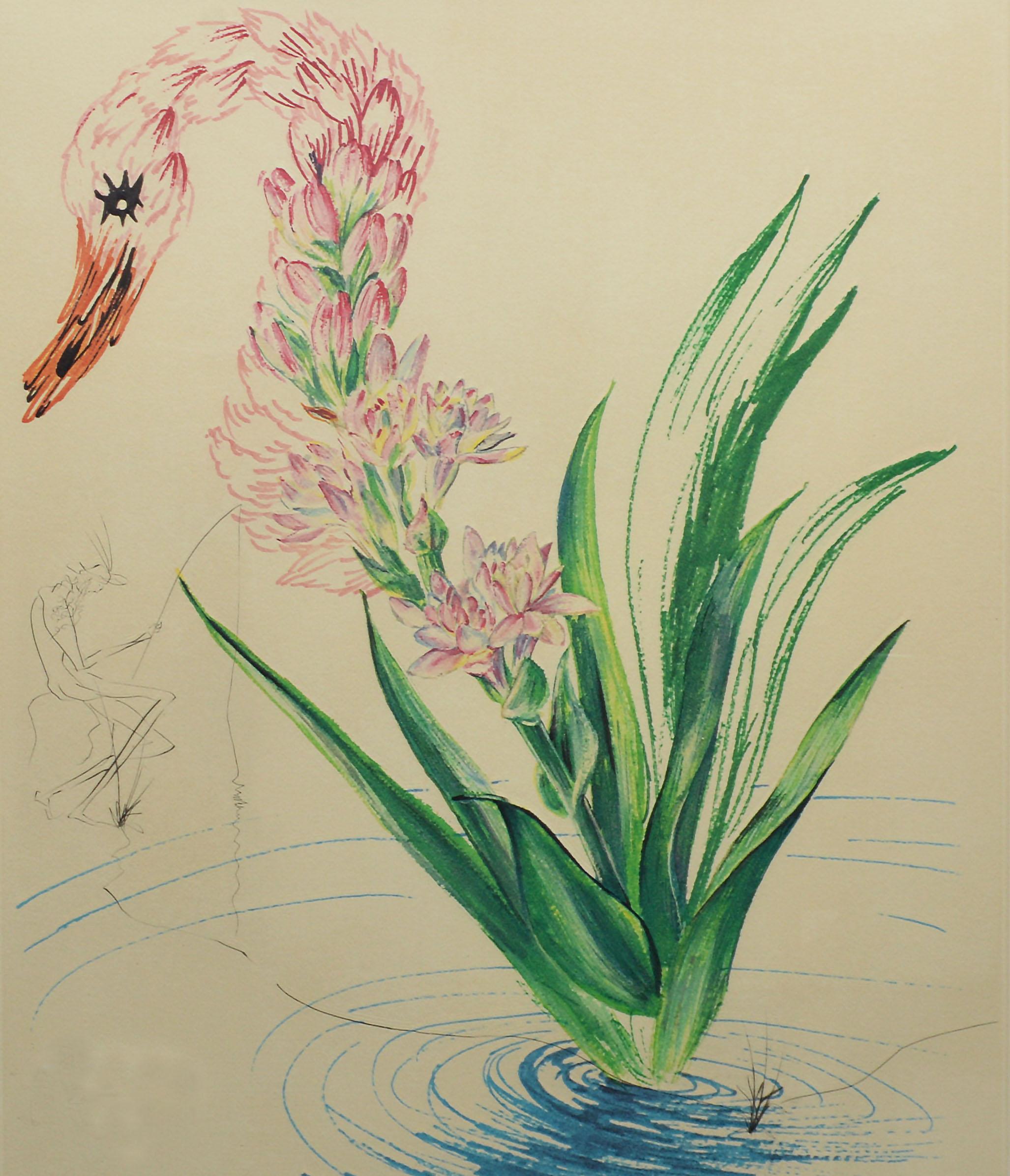 Radierung und Lithographie:: „Wasserhibiskusschwan“:: handsigniert und nummeriert (Beige), Animal Print, von Salvador Dalí