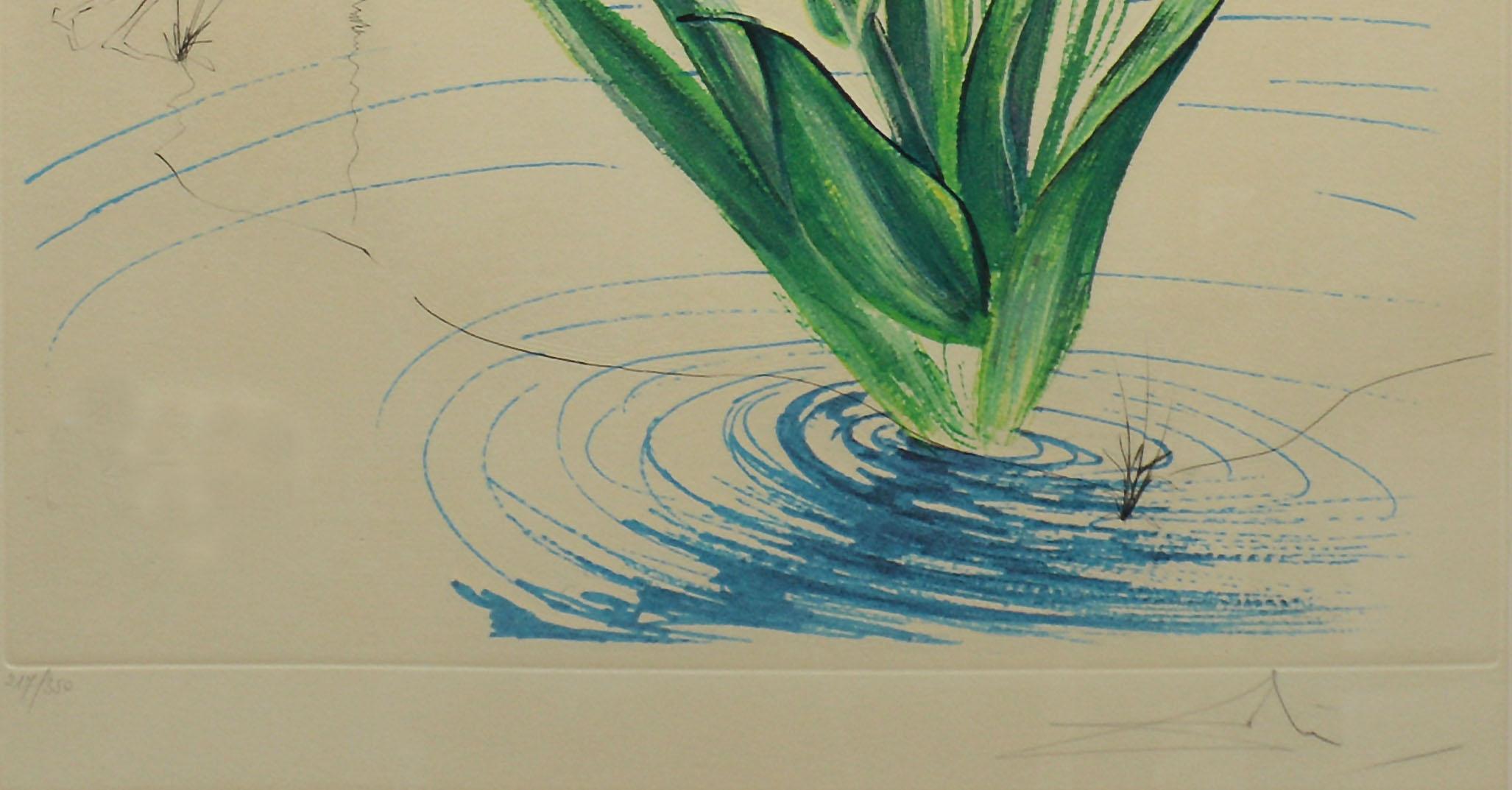 salvador dali painting in water