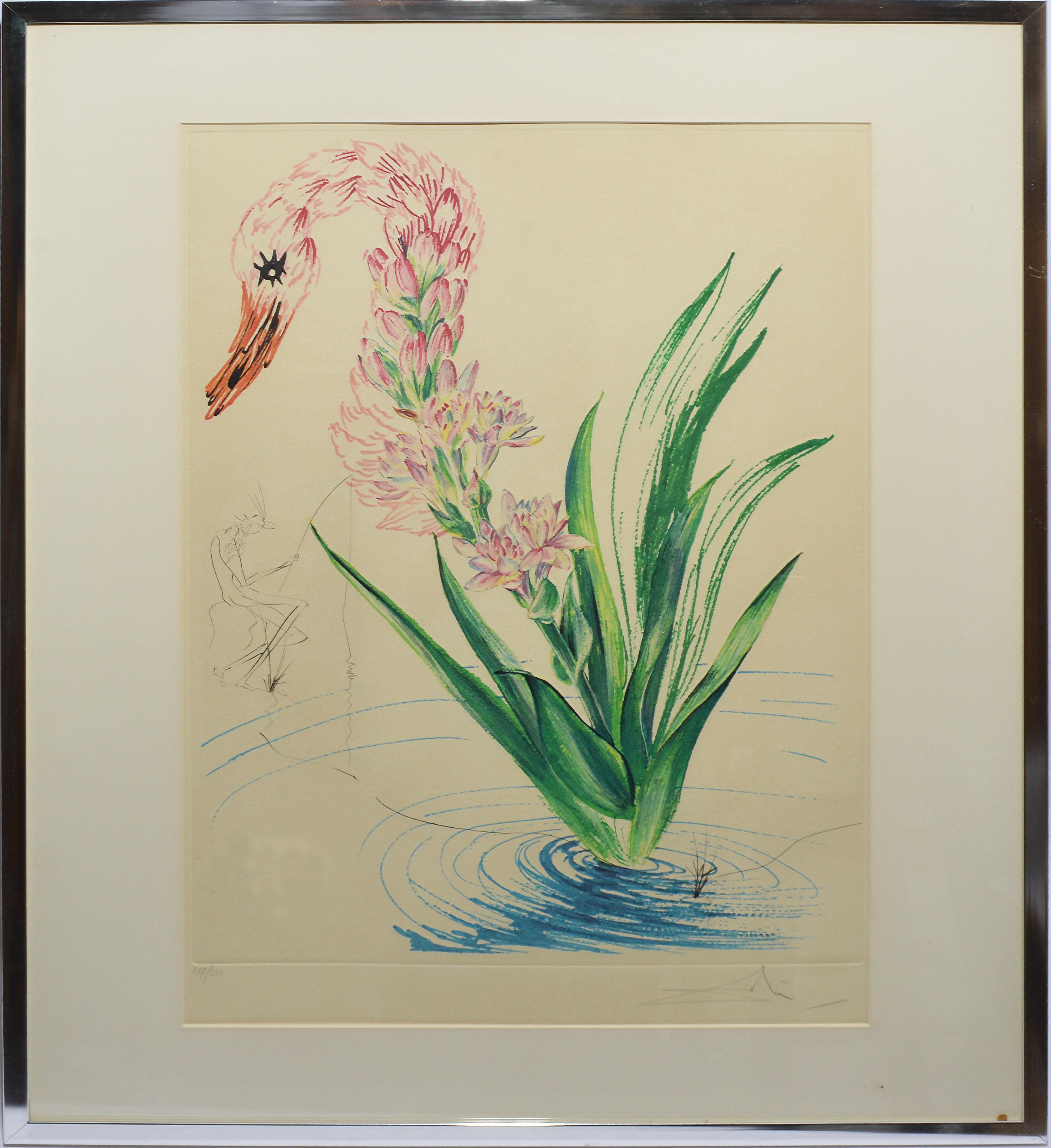 Salvador Dalí Animal Print - Original etching and lithograph, "Water Hibiscus Swan, " hand signed and numbered