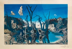 Retro Hand Signed Salvador Dalí Swans Reflecting Elephants Lithograh, 1970