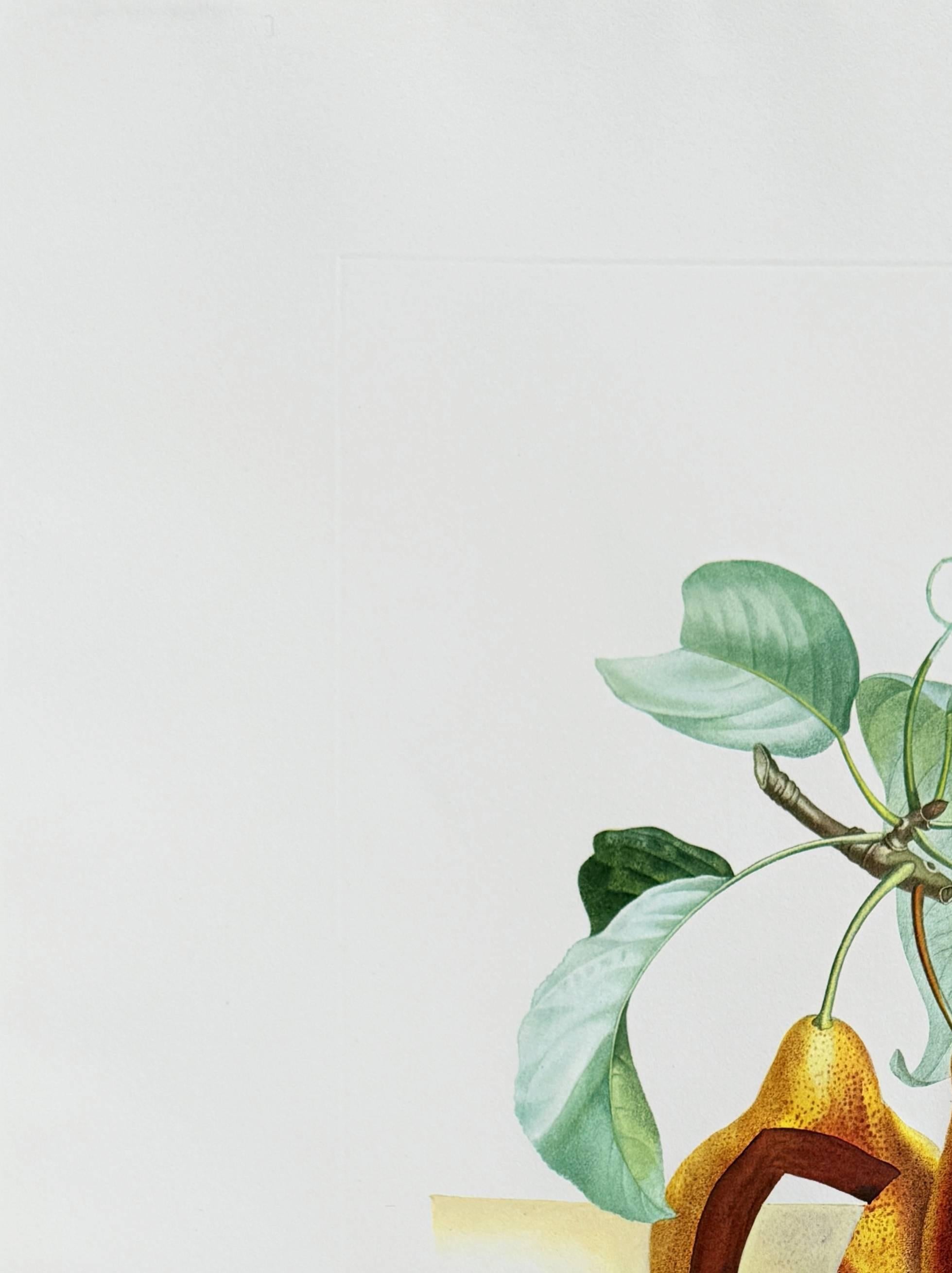 Fruit troué de la suite Flordali - Moderne Art par Salvador Dalí