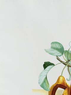 Holed Fruit from Flordali suite