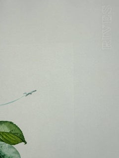 Holed Fruit from Flordali suite