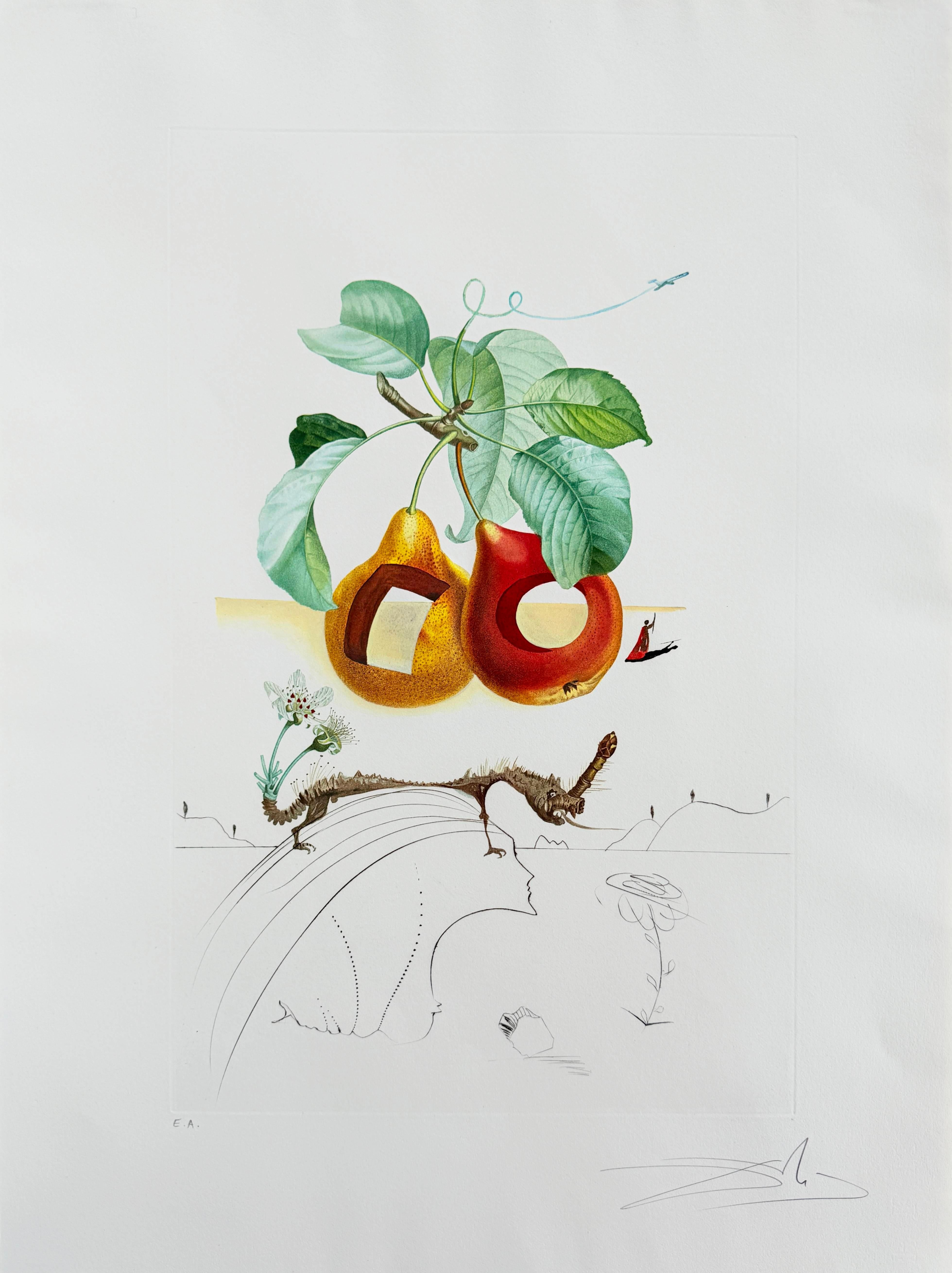 Fruit troué de la suite Flordali