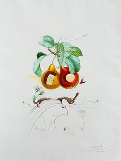 Fruit troué de la suite Flordali