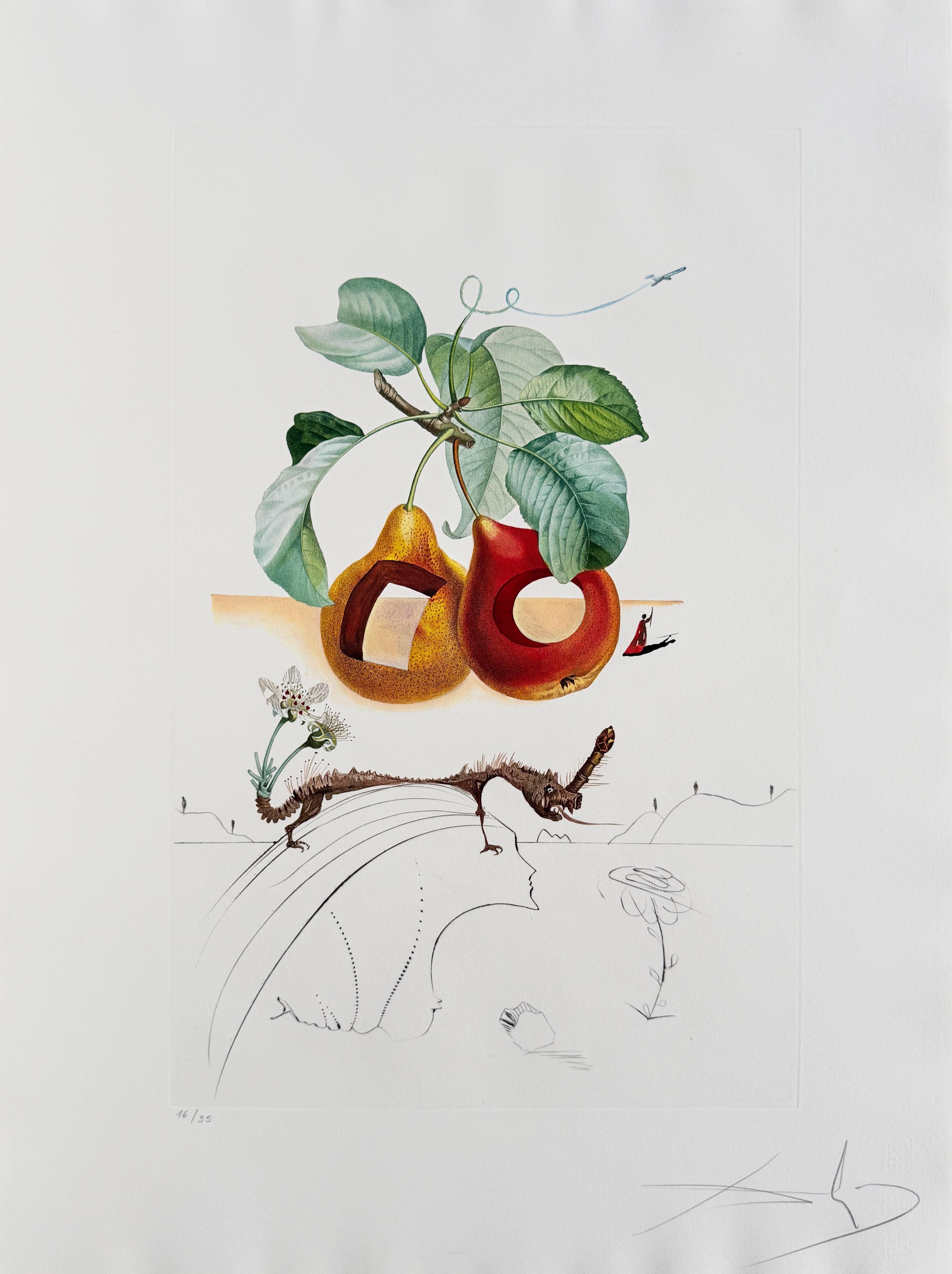 Salvador Dalí Print - Holed Fruit from Flordali Suite, Modern Drypoint Etching, Signed, 1969