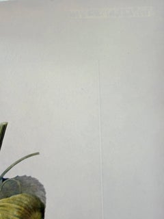 Homme figuier (Fig Man)