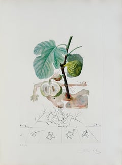 Homme figuier (Fig Man)