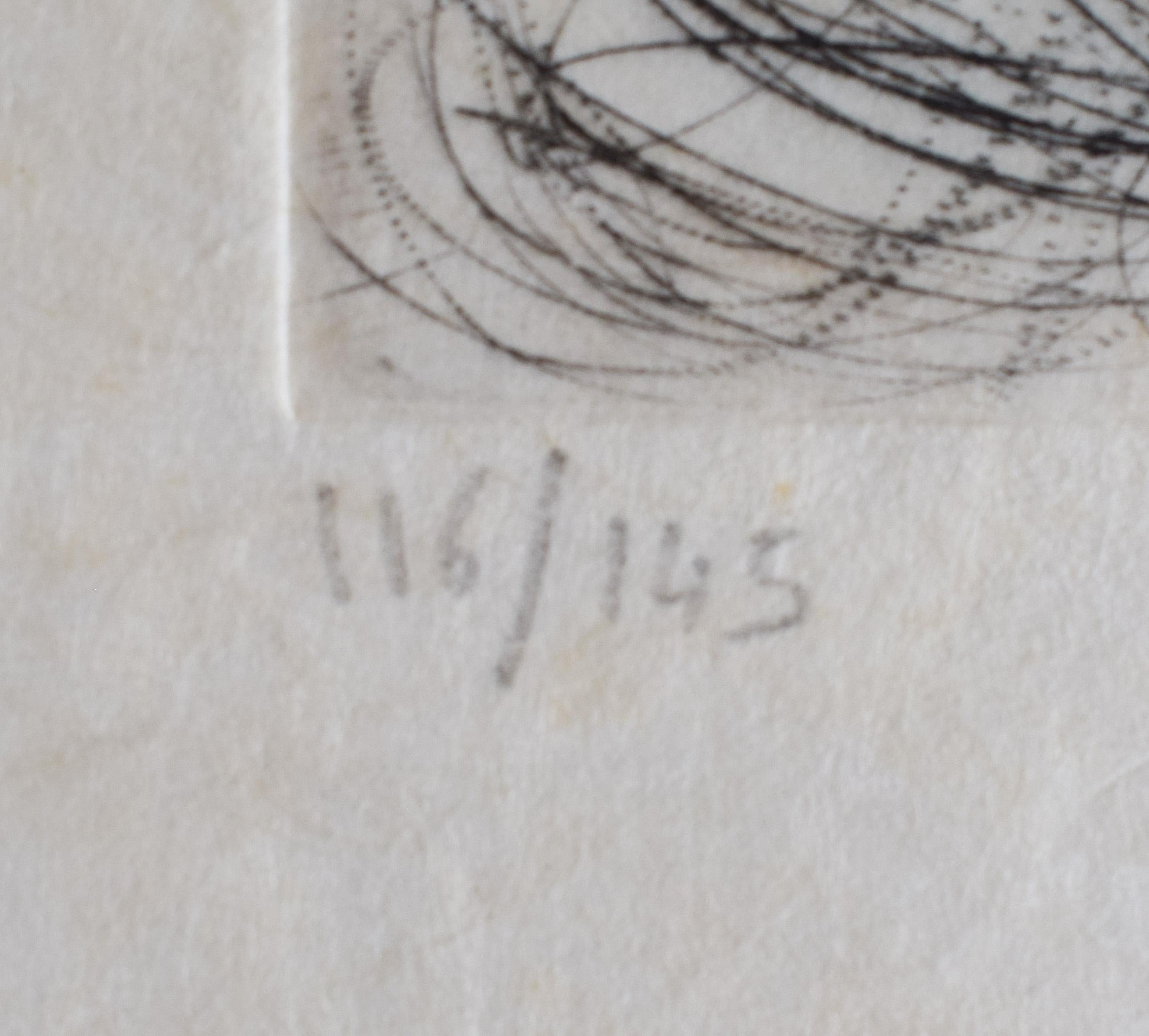 This original hand-coloured etching is hand signed in pencil by the artist 