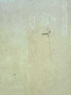 Kumo (l'araignée tisserande)