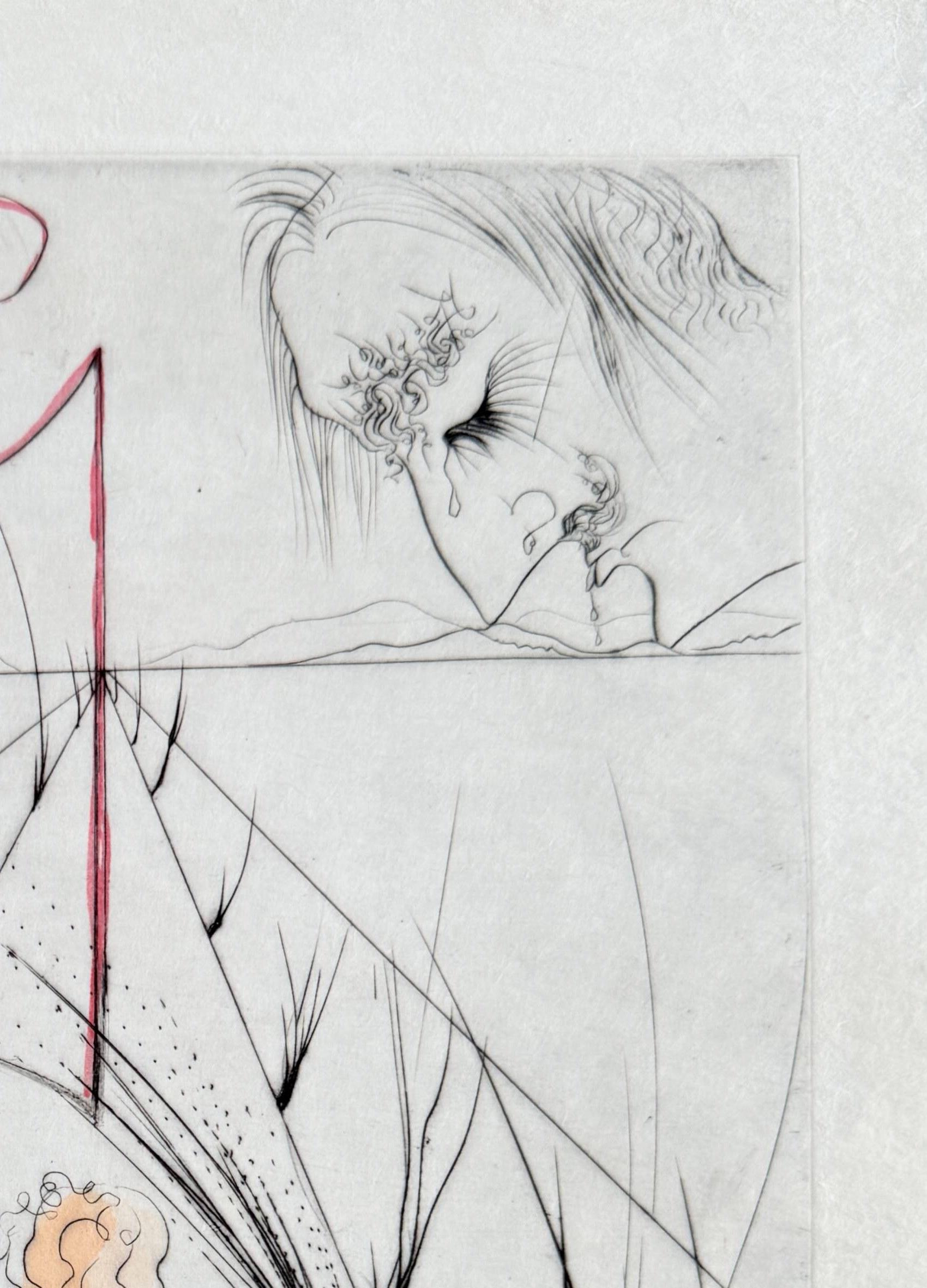 Salvador Dali (1904-1989) - La Femme au fouet

Etching from 1969.

66/145 on Japan paper.

Dimensions of work: 38 x 28.5 cm.

Hand signed.

Publisher: Graphik Europa Anstalt.

Reference: Michler/Löpsinger 357f.

The work is in Excellent condition.

