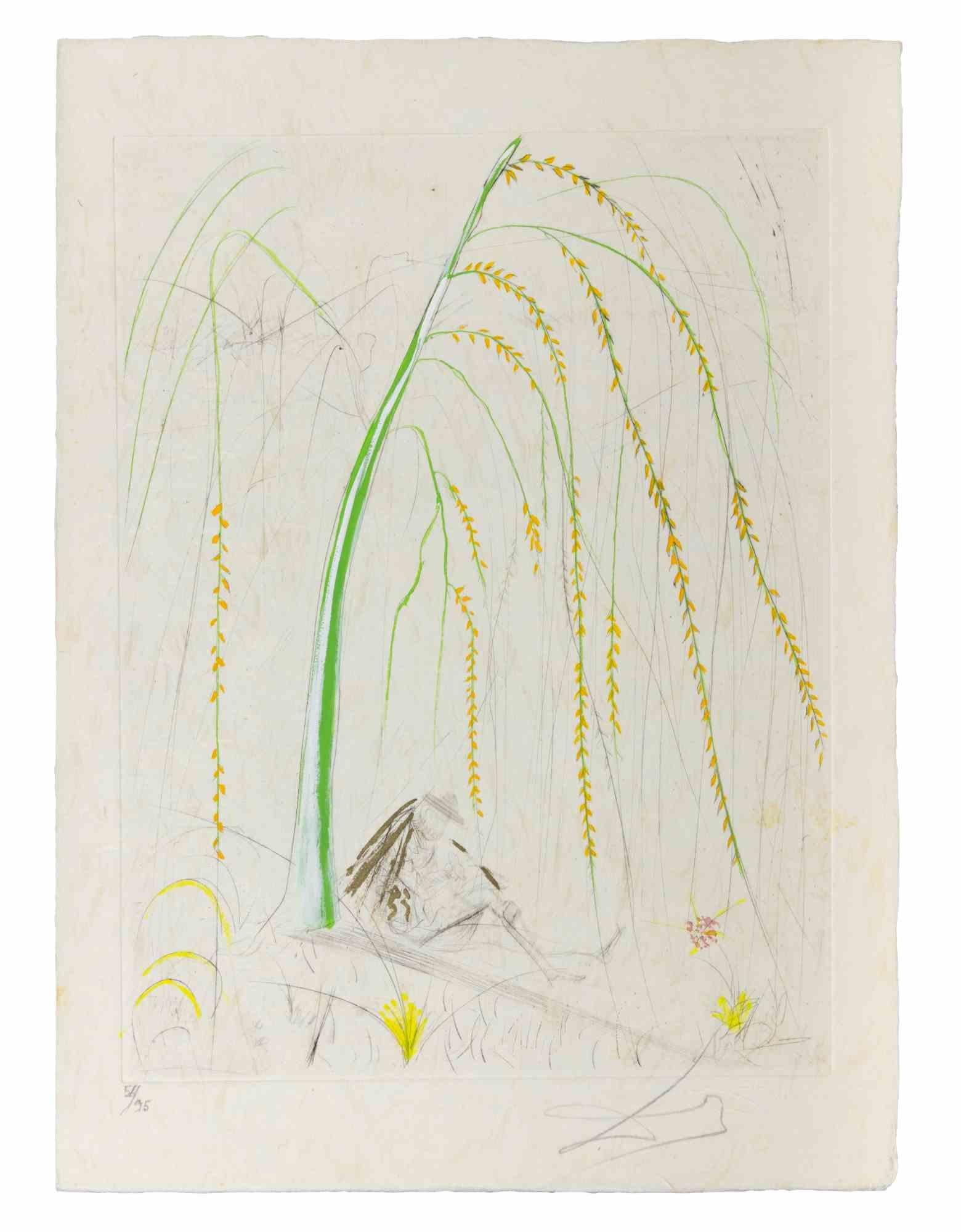 La Saule Pleureur (Weeping Willow) - Etching - 1968 - Print by Salvador Dalí