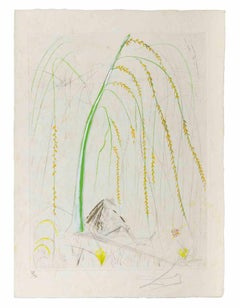 La Saule Pleureur (Weeping Willow) - Etching - 1968