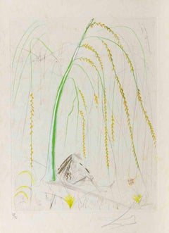 La Saule Pleureur (Weeping Willow) - Etching - 1968