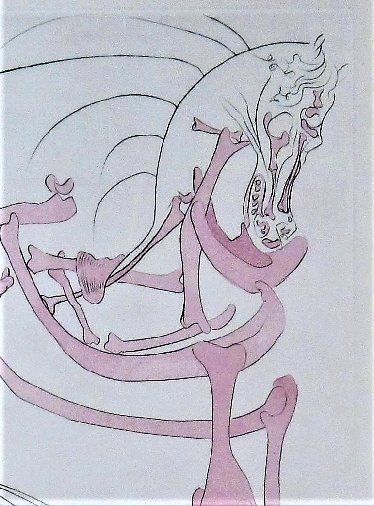 salvador dali horse