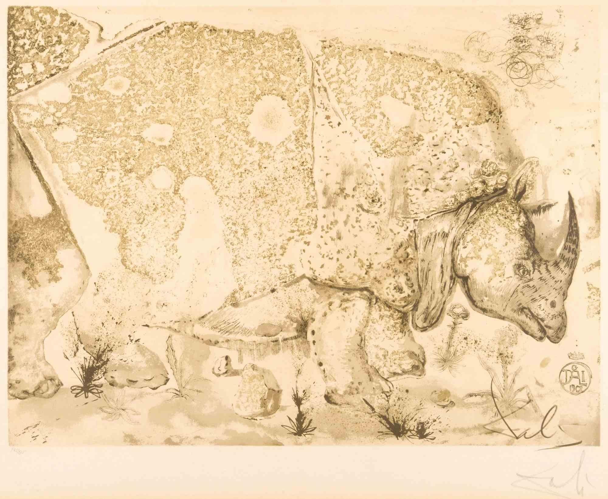 Le Rhinoceros - Lithograph - 1970