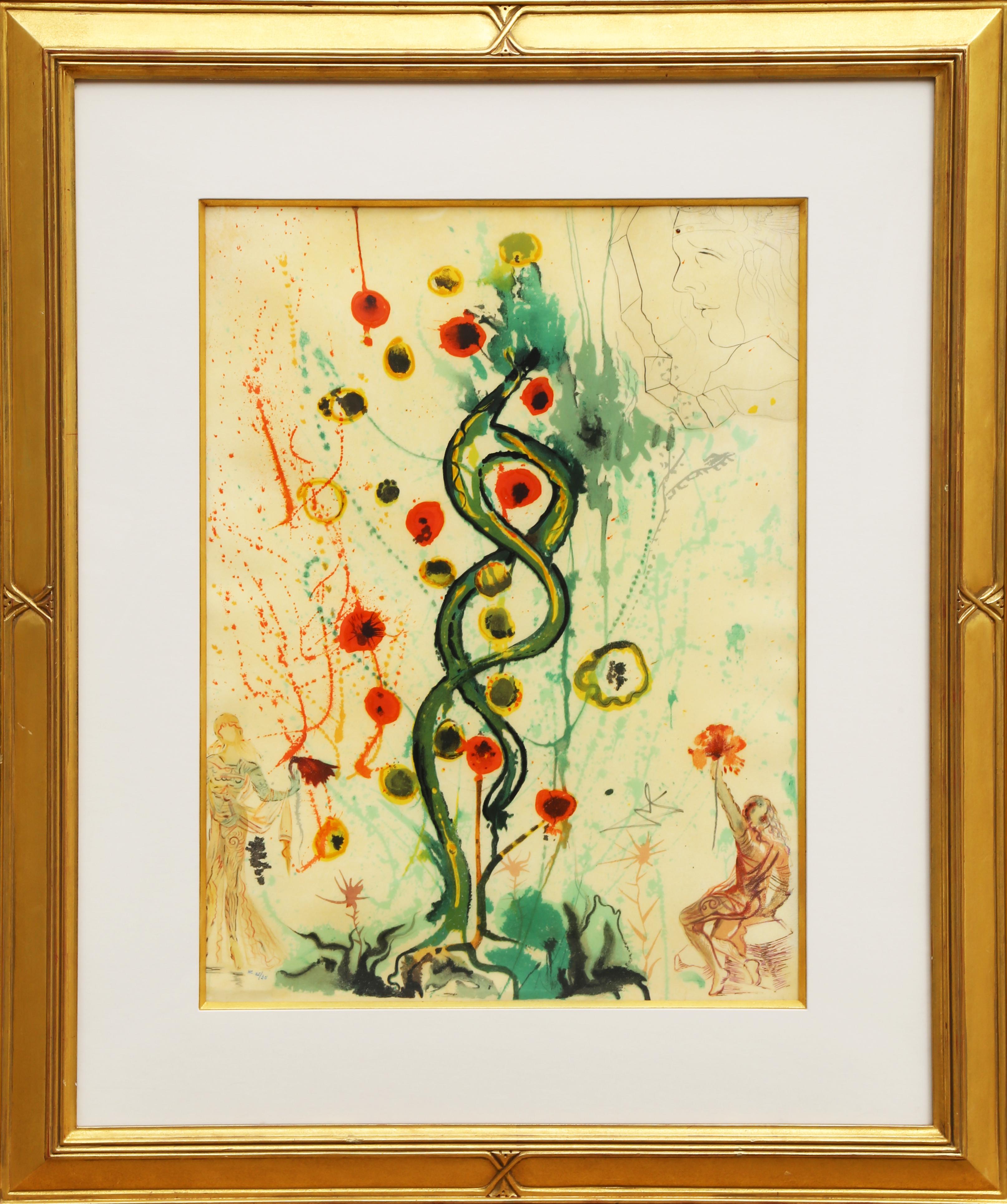 Salvador Dalí Abstract Print - Le Songe d'un Alchmiste ou l'Arbre de Vie