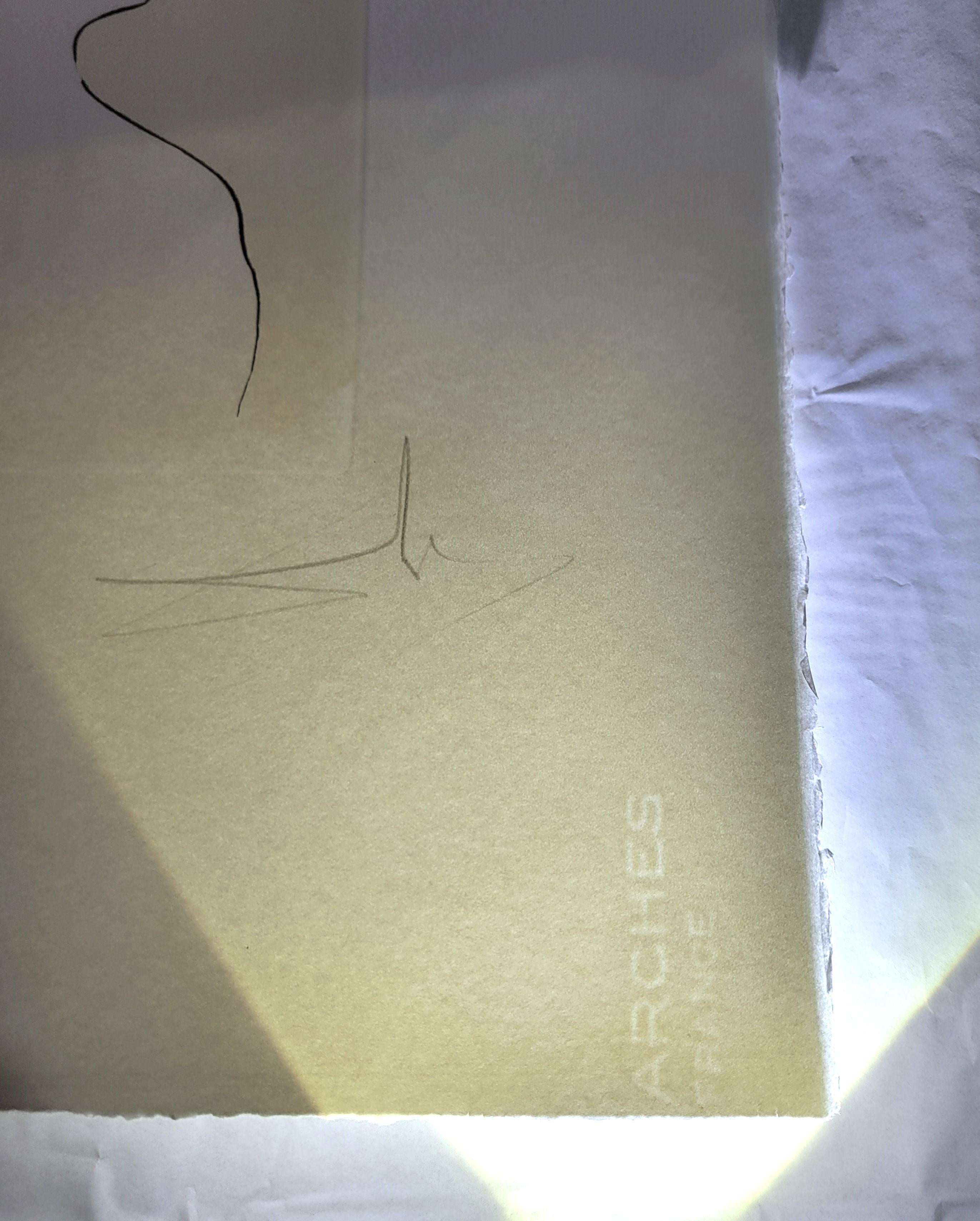 Le Téléphone (Hummertelefon) /// Salvador Dali Surrealismus Moderne Gravur im Angebot 13