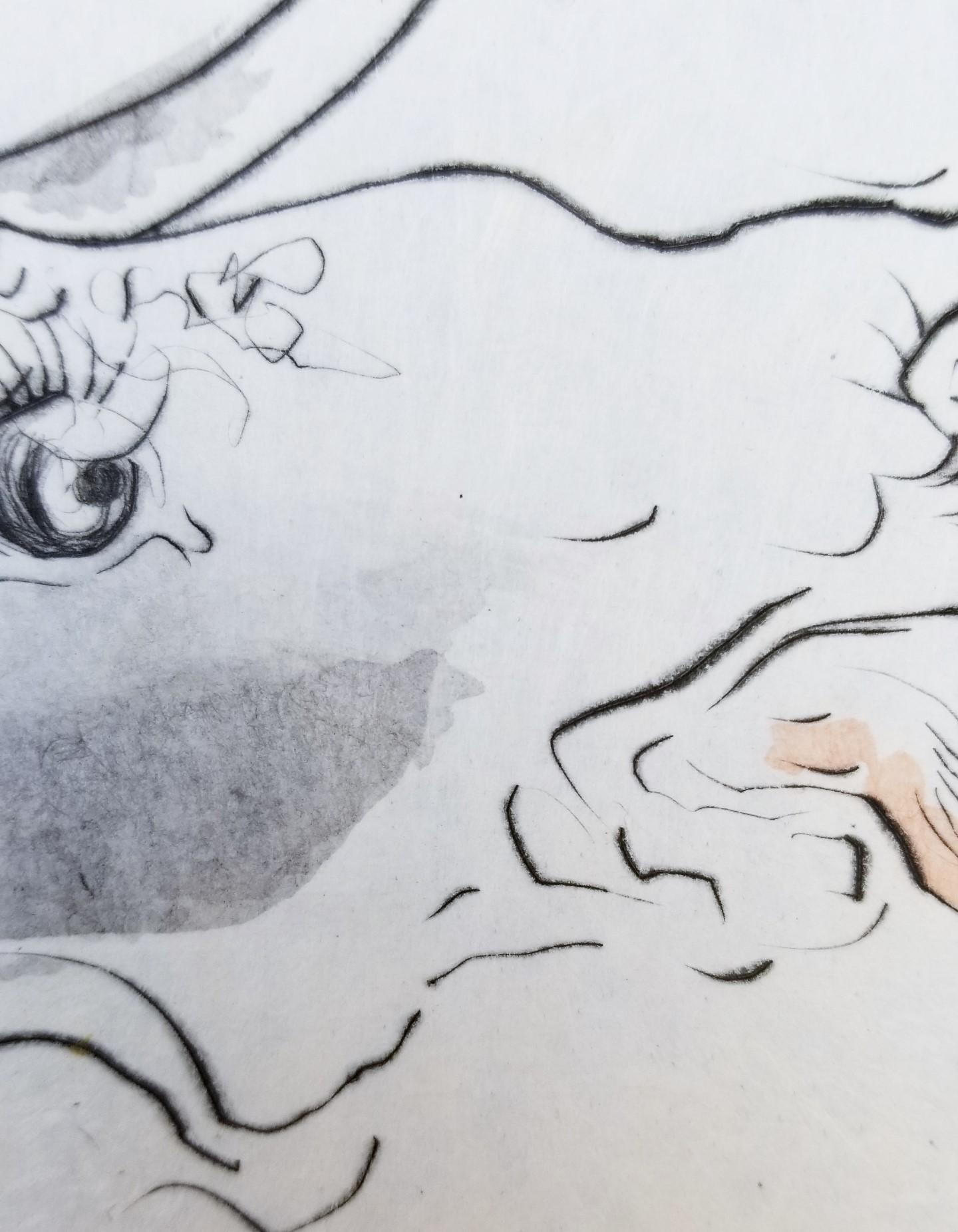 Le Viol d' Europe (Der Rape of Europa) /// Surrealismus Salvador Dali Mythologie Kunst im Angebot 10