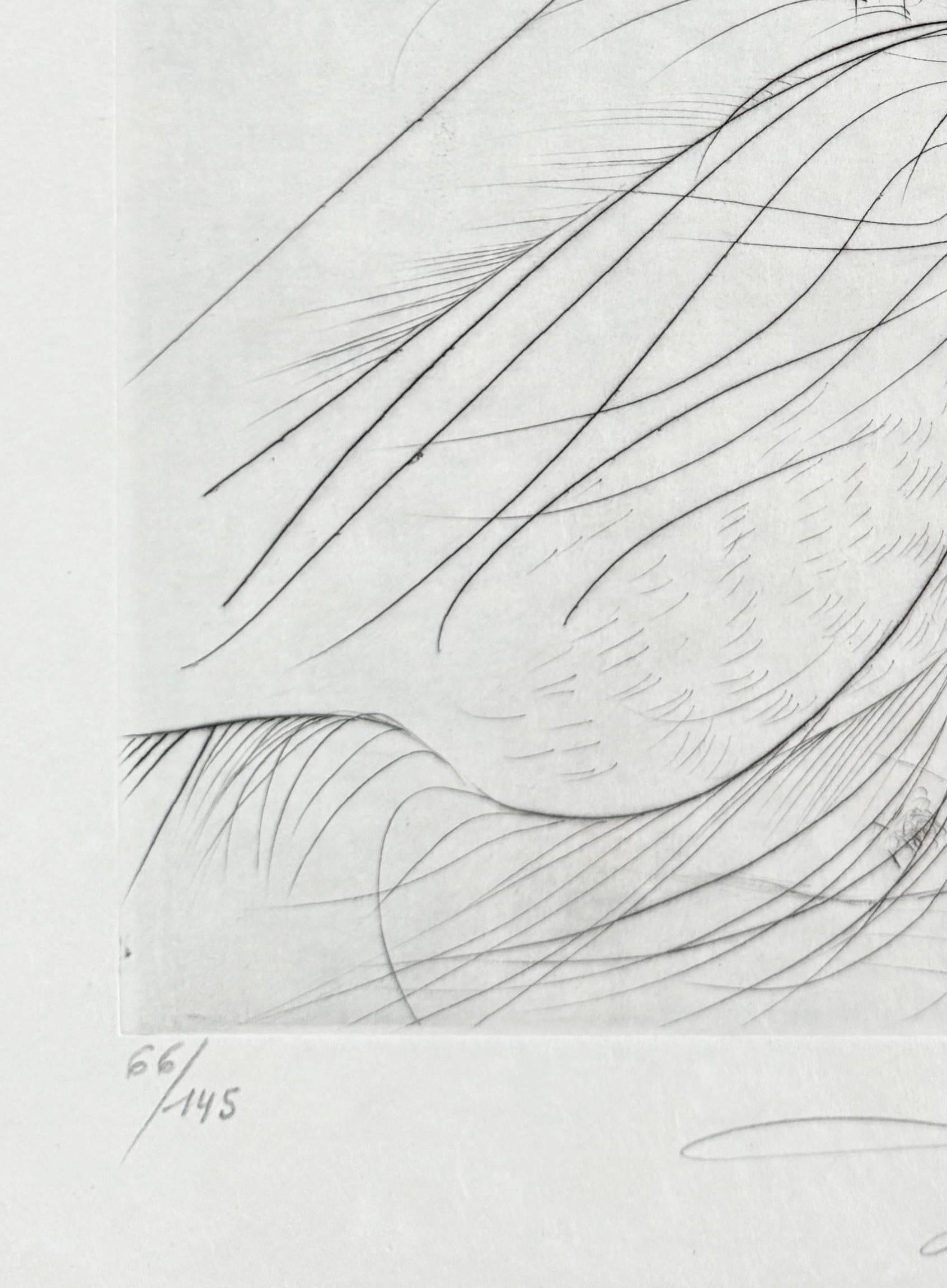 Les Aigrettes For Sale 1