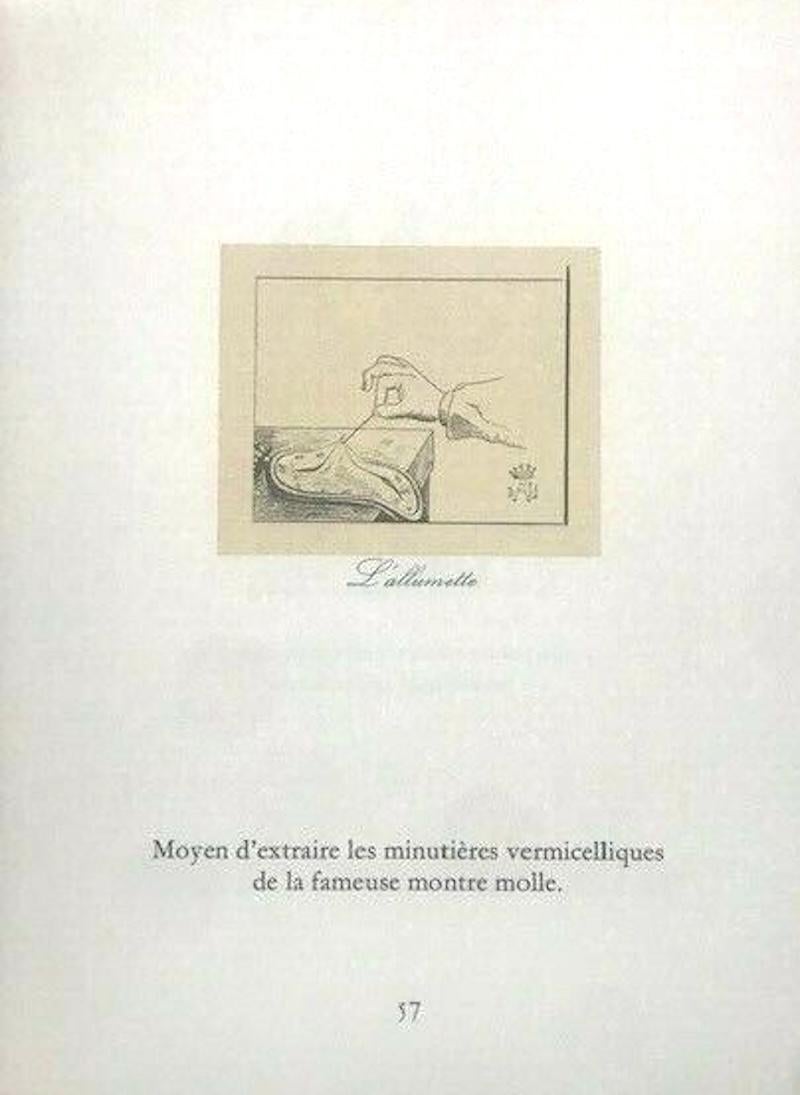 Les Metamorphoses Erotiques Libro Portfolio Rosso in vendita 1