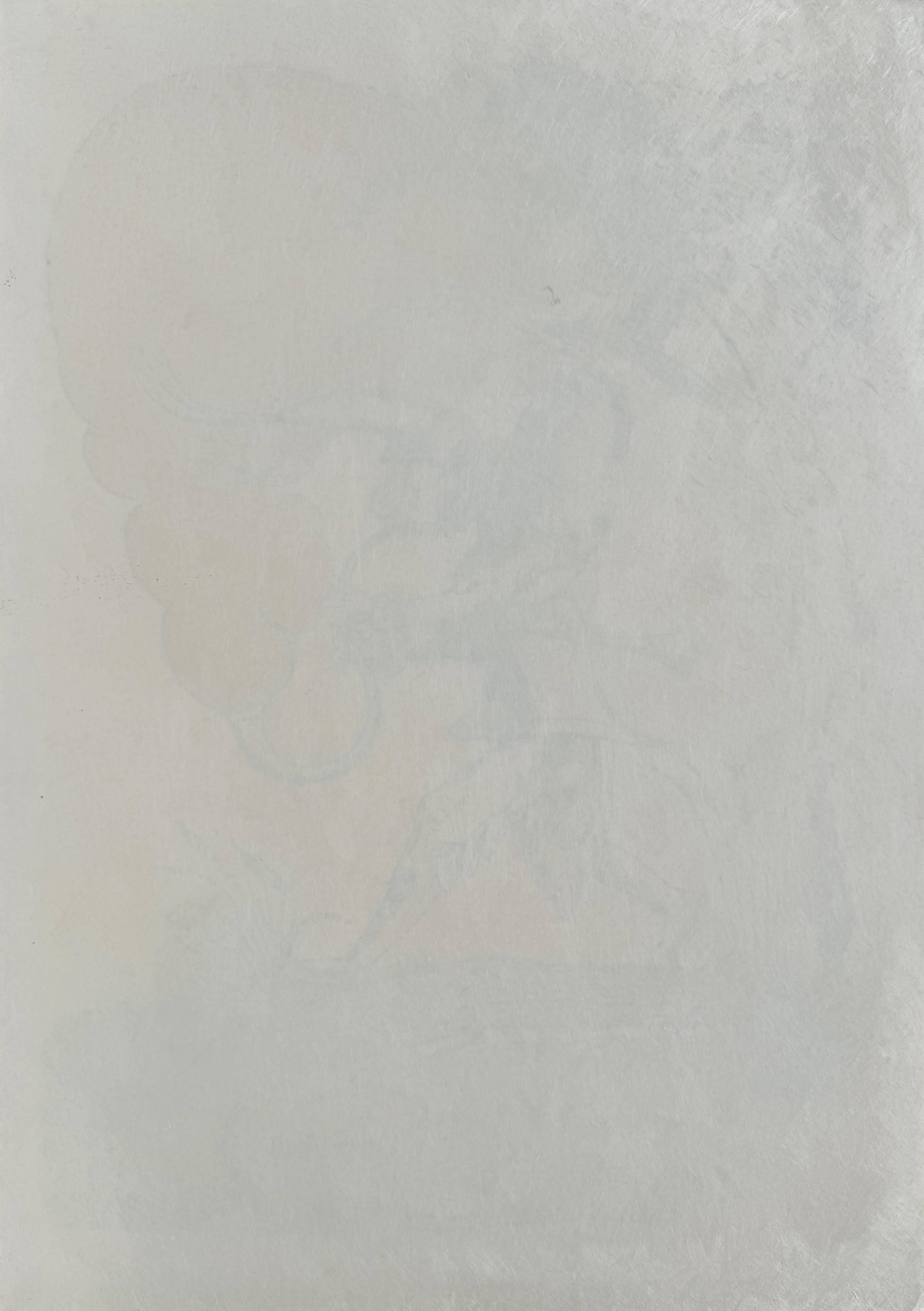 Les Songes Drôlatiques de Pantagruel, Planche XXII en venta 2