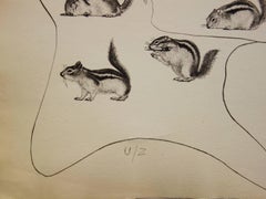 L'homme ressuscité par l'holographie de l’écureuil - Original etching - 1973